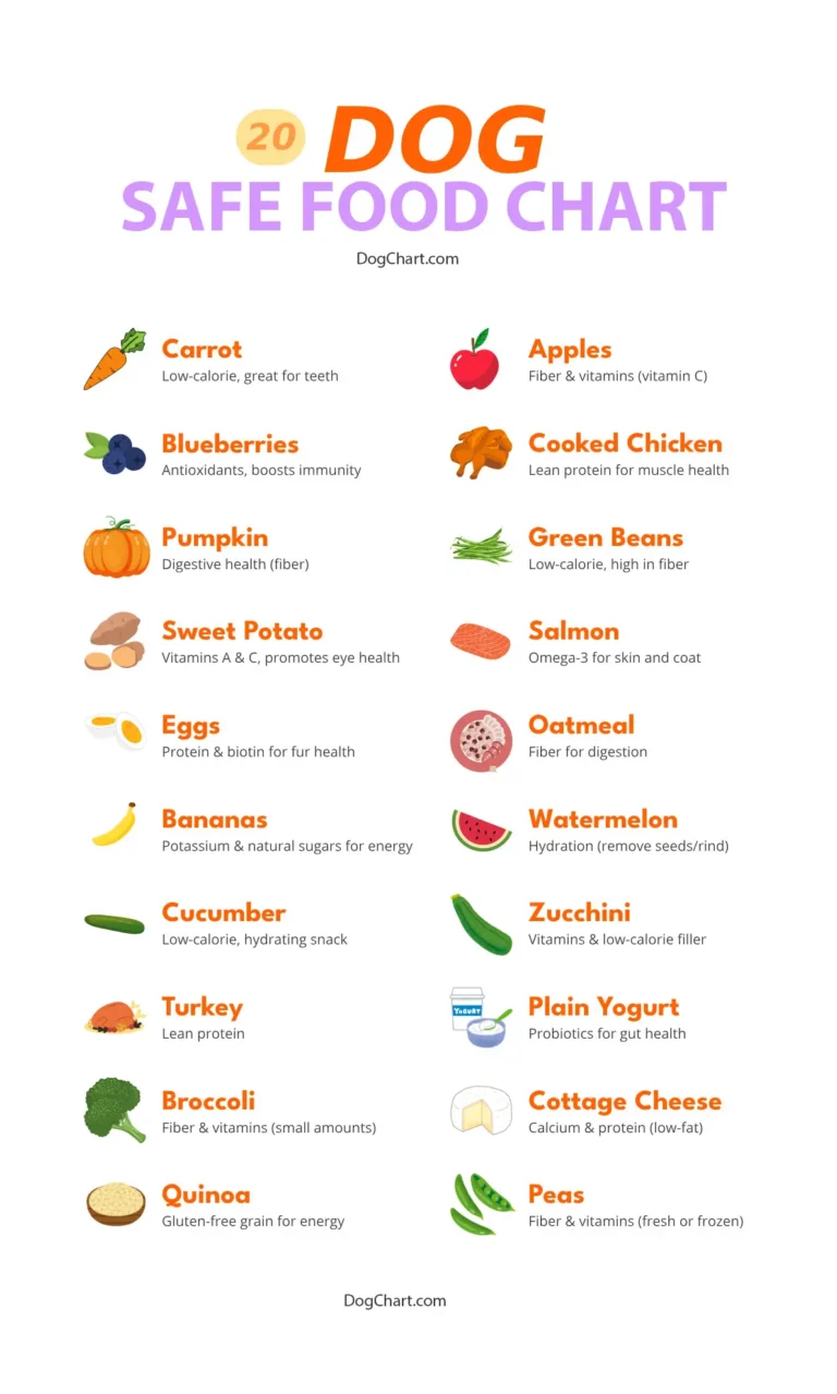 20 dog safe food chart