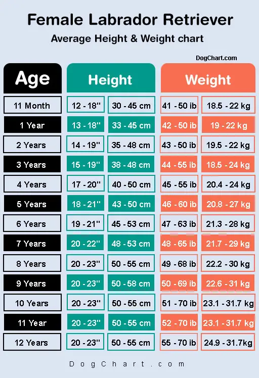 Lab Height Weight Chart In Kg Ib Cm Inches