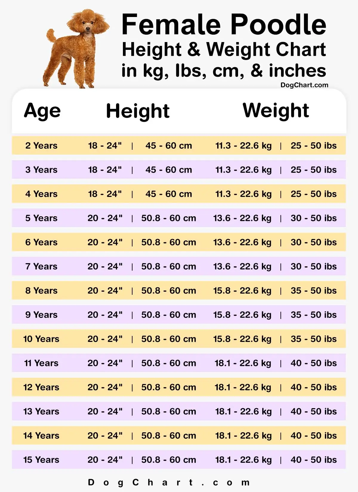 Female poodle Height and weight chart by age in kg, Ibs, cm, & inches