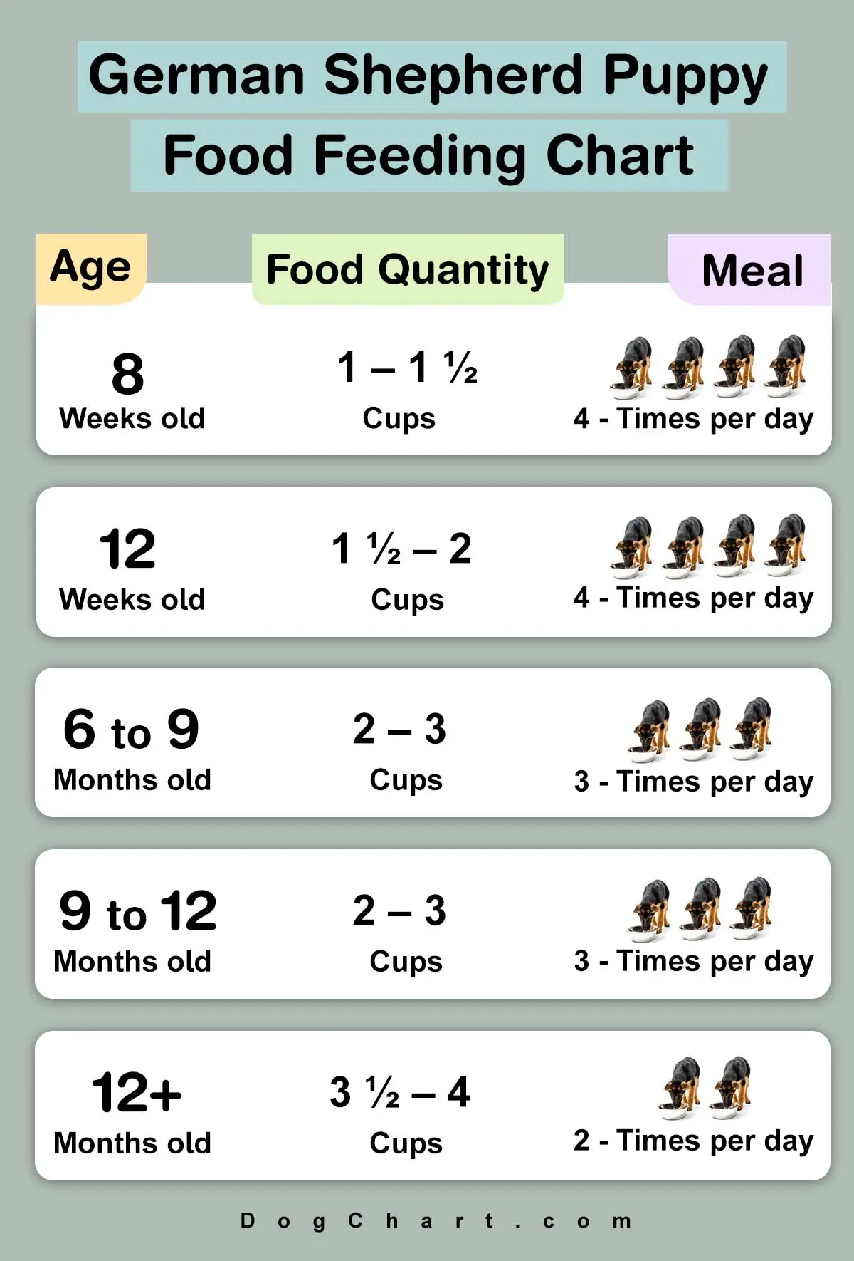 German Shepherd Puppy Food Chart - Feeding Time Pros & Cons