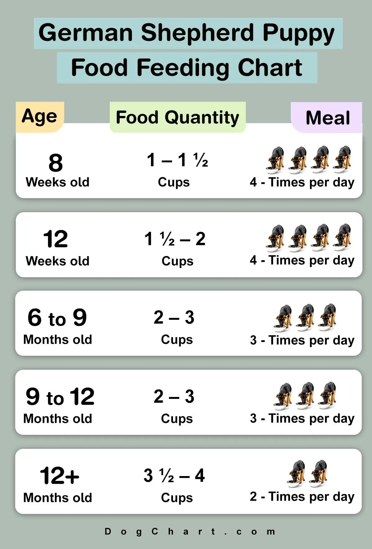 German Shepherd Puppy Food Chart Feeding Time Pros & Cons