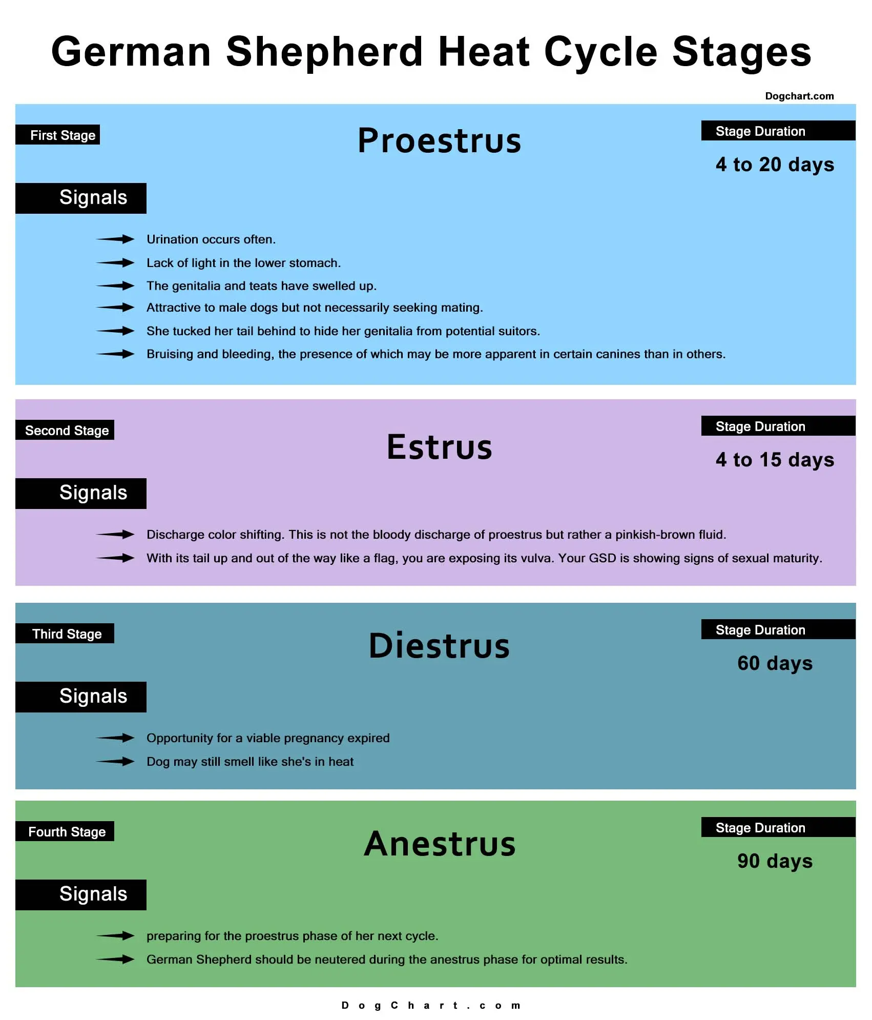 German Shepherd Heat Cycle Chart