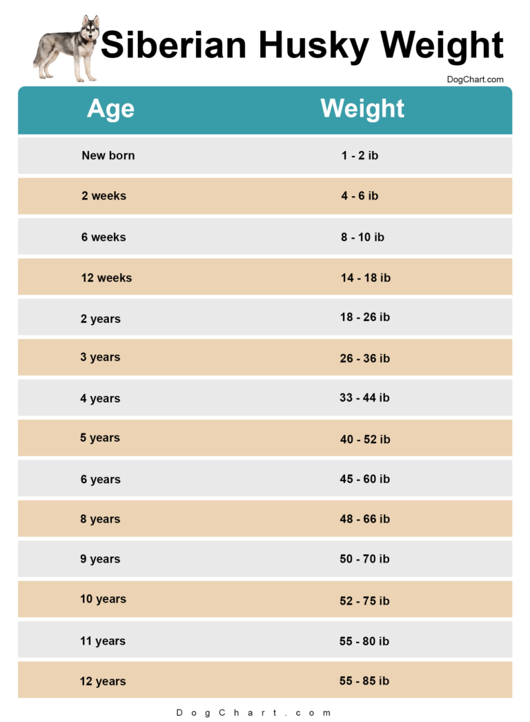 siberian husky weight chart
