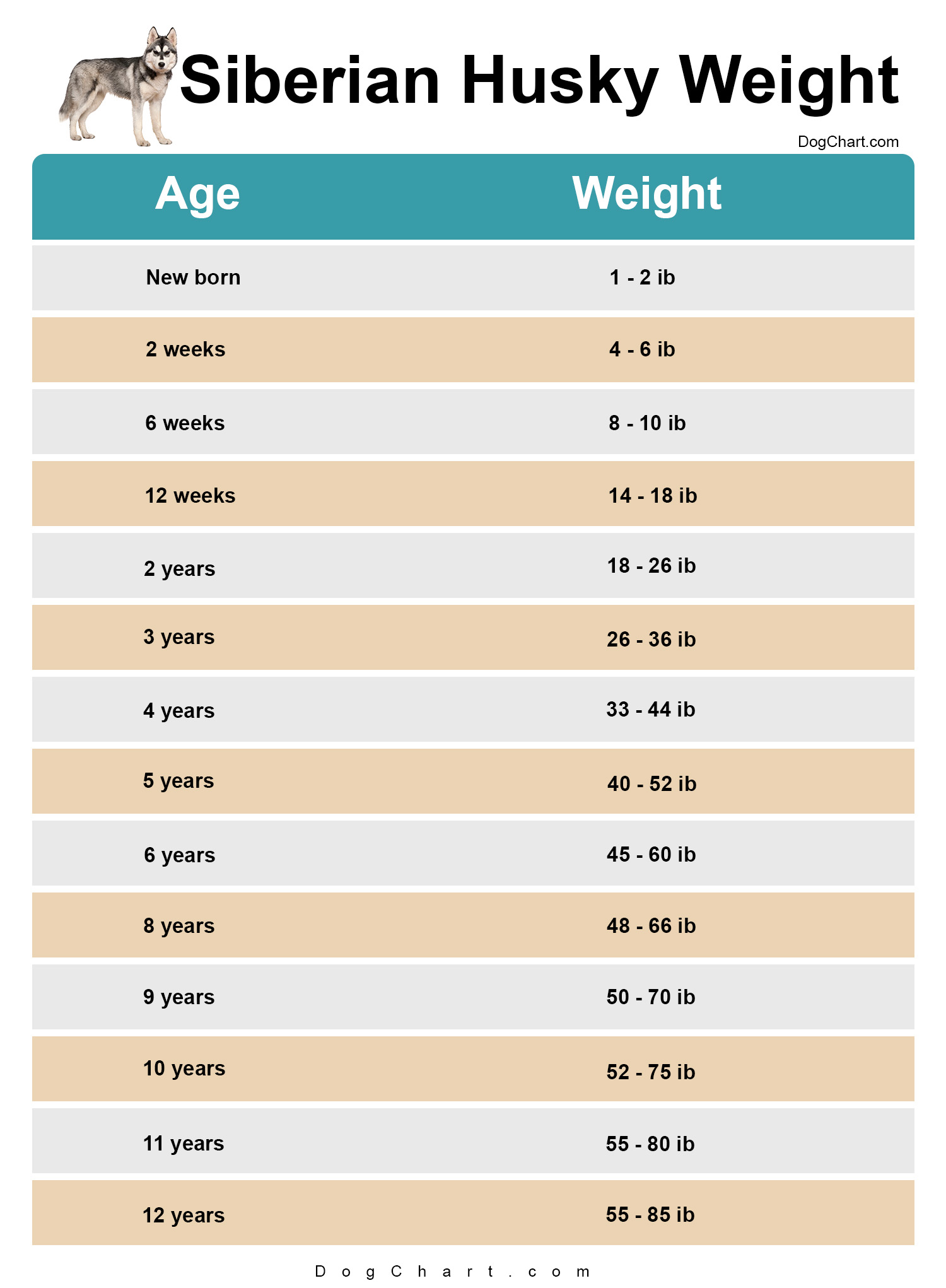 🐶 Siberian Husky Weight Chart by Age in ib