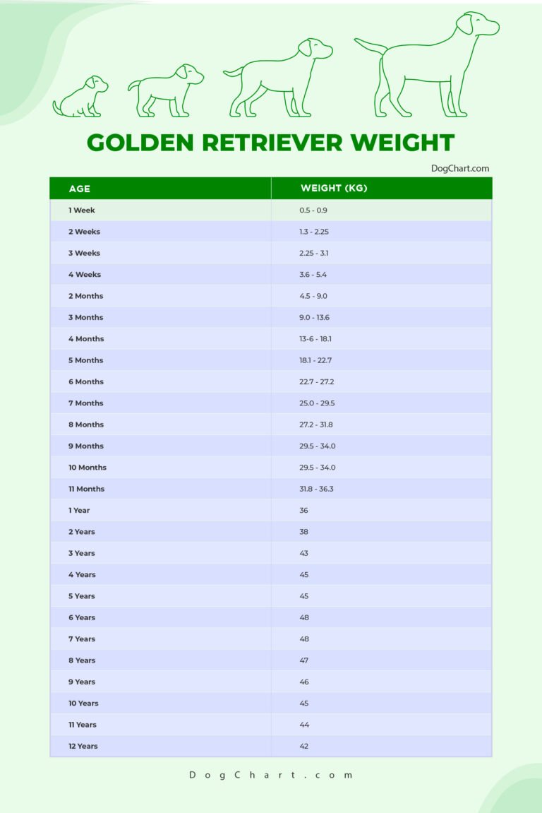 Puppy Female Male Golden Retriever Weight Chart In KG Ib puppy-female-male-golden-retriever-weight-chart-in-kg-ib