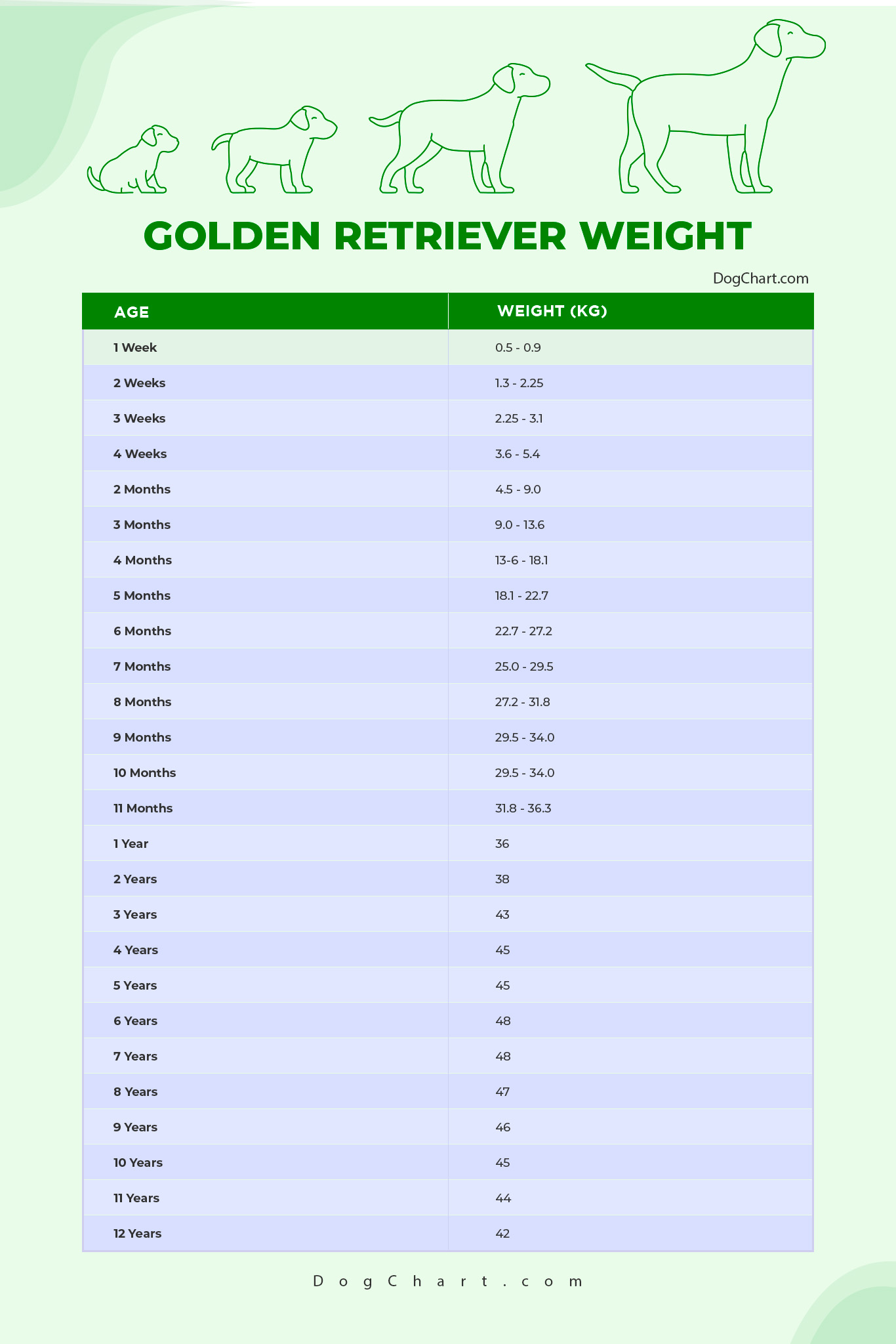 Golden retriever weight chart
