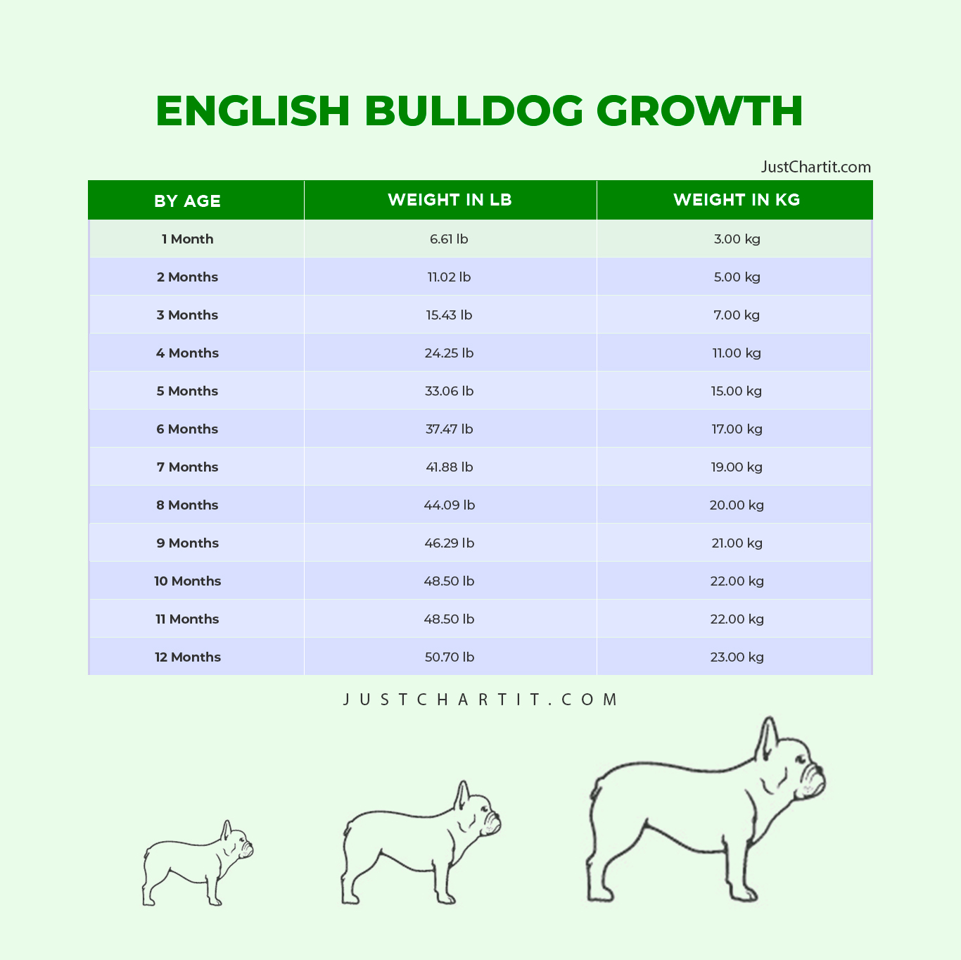 English Bulldog Growth Chart By Age - DogChart