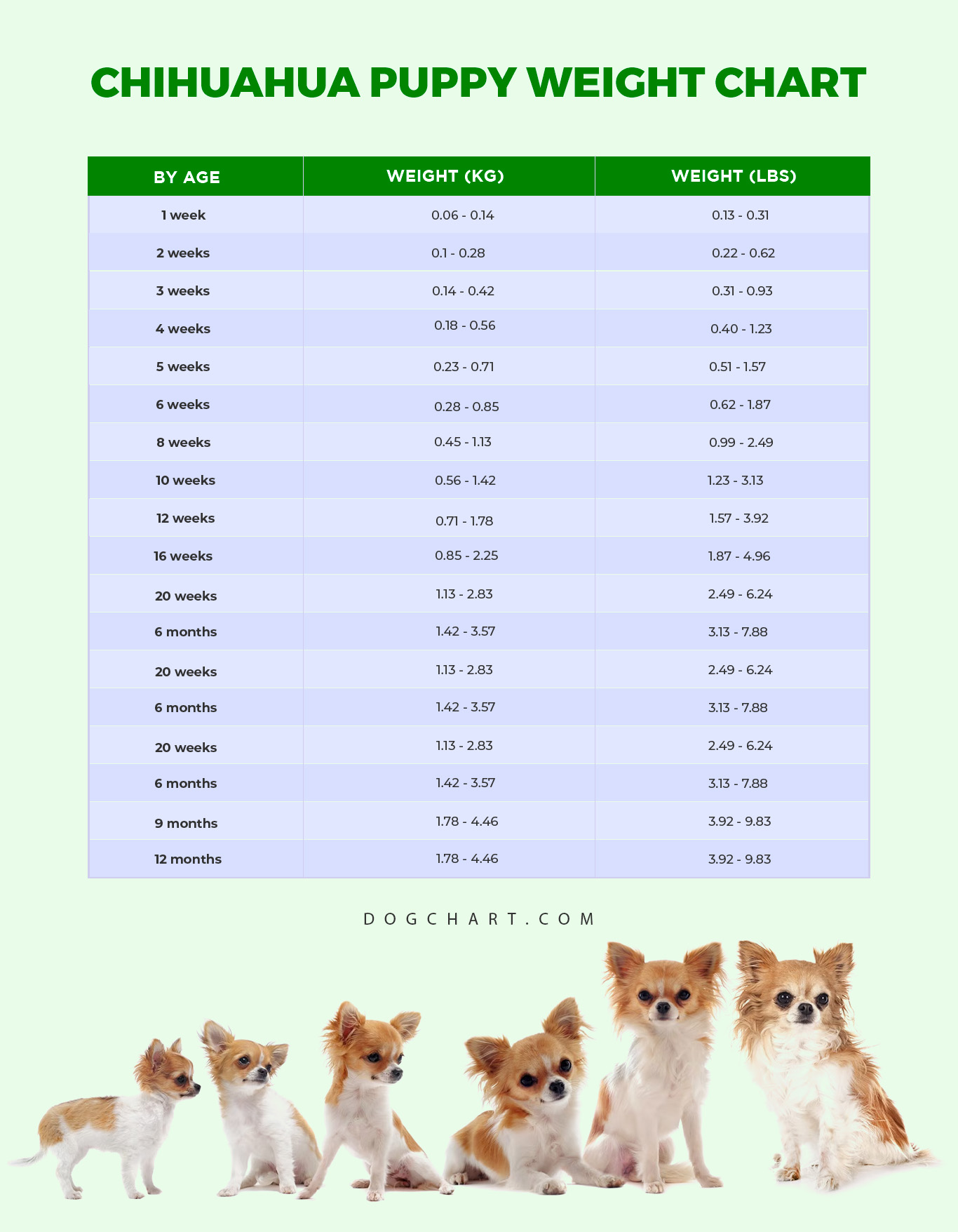 chihuahua puppy weight chart