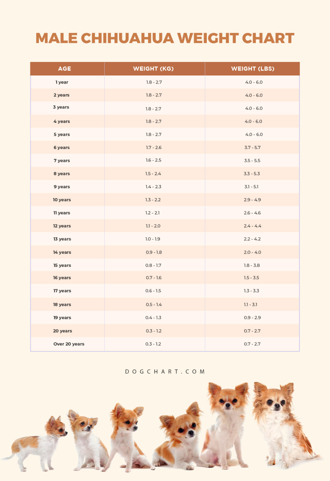 Chihuahua Weight Chart - DogChart