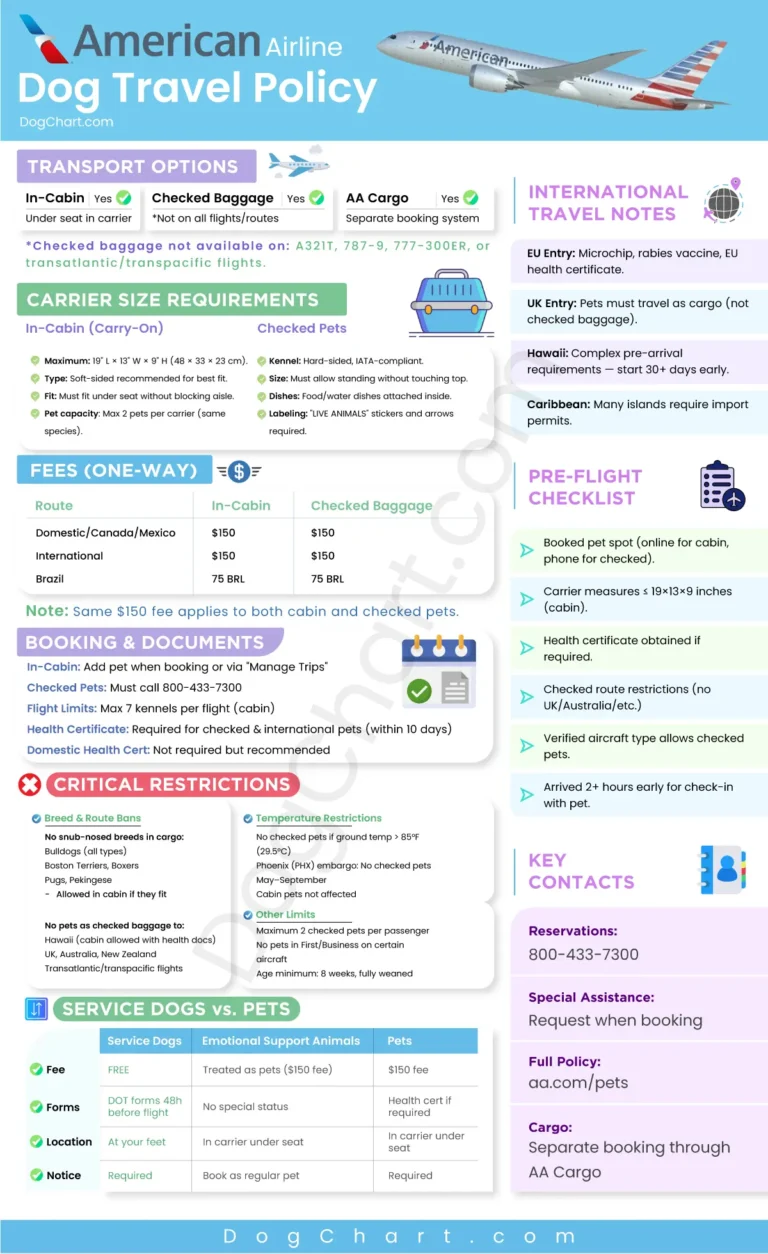 American Airlines Dog Policy