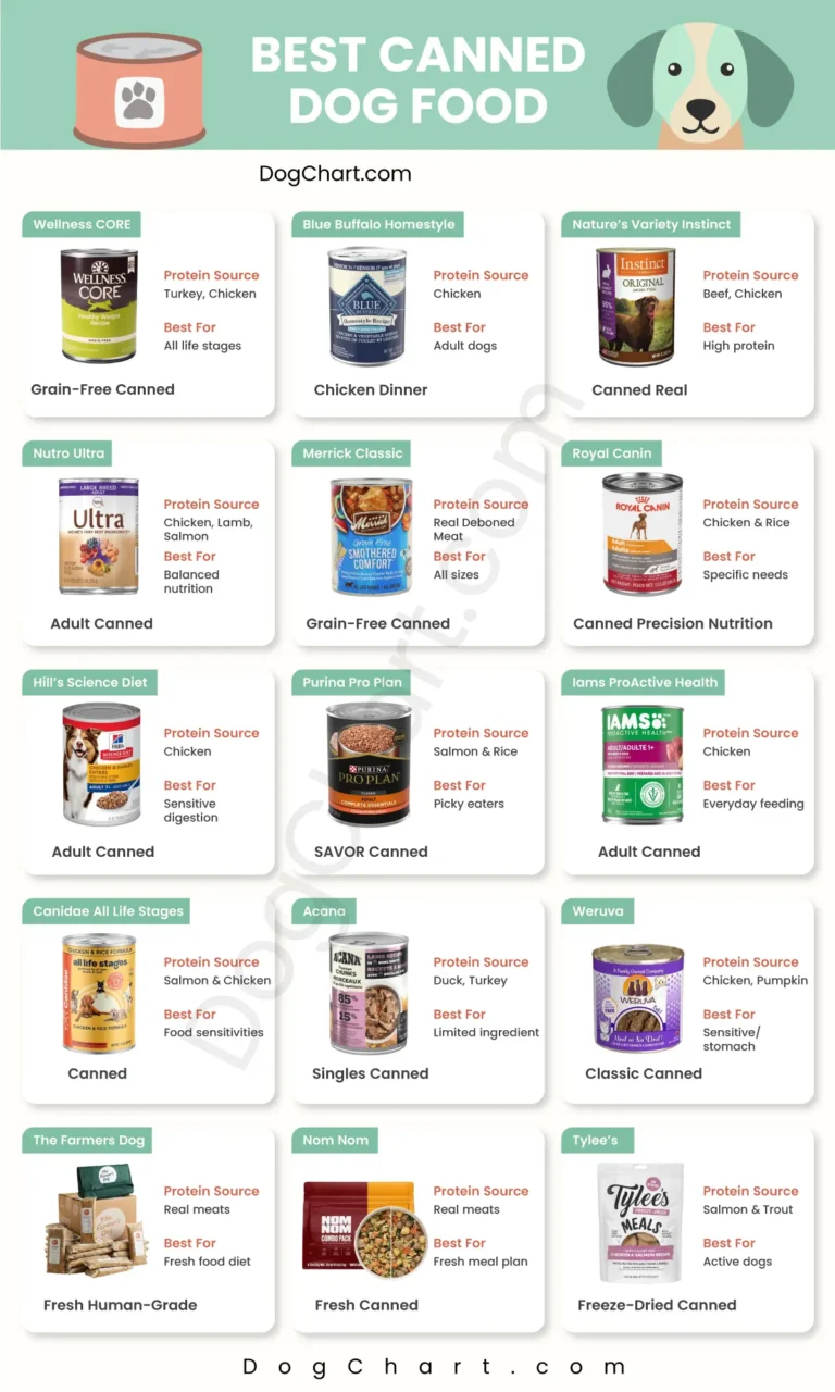Best Canned Dog Foods List