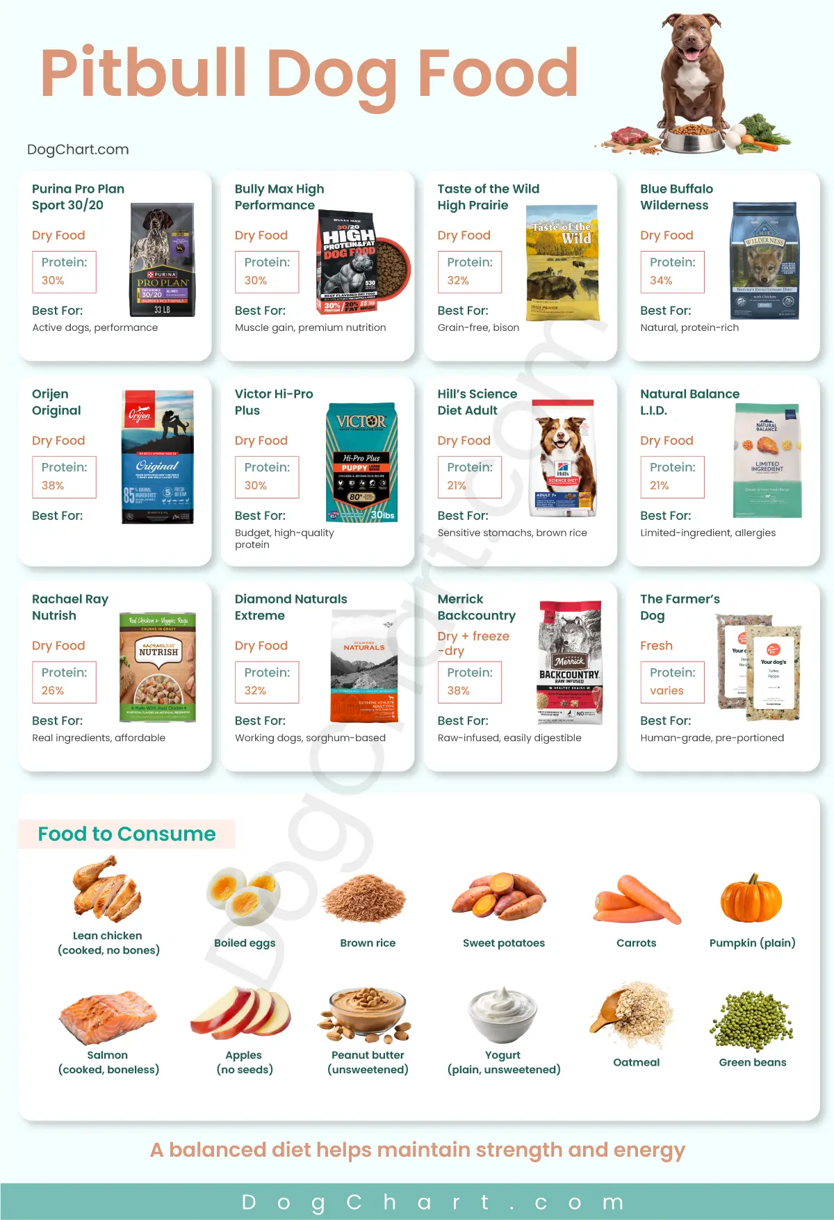 Best Dog Food for Pitbulls
