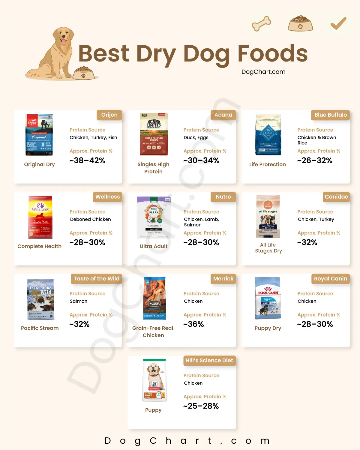 Best Dry Dog Foods List