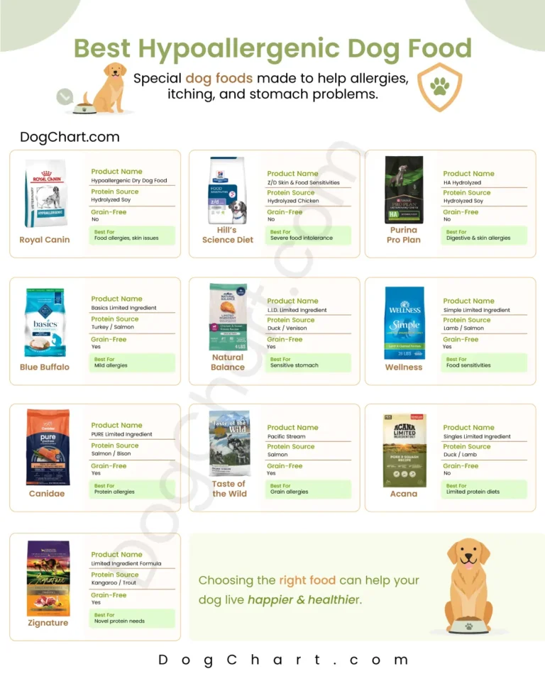 Best Hypoallergenic Dog Foods List