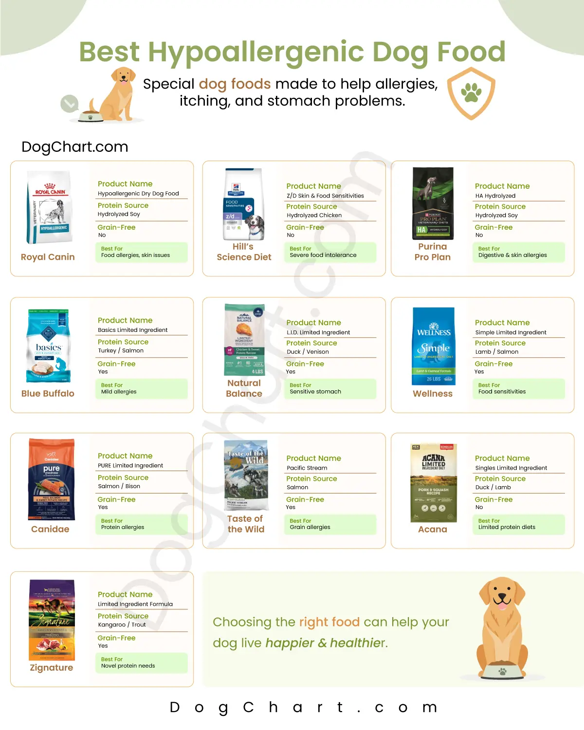 Best Hypoallergenic Dog Foods List