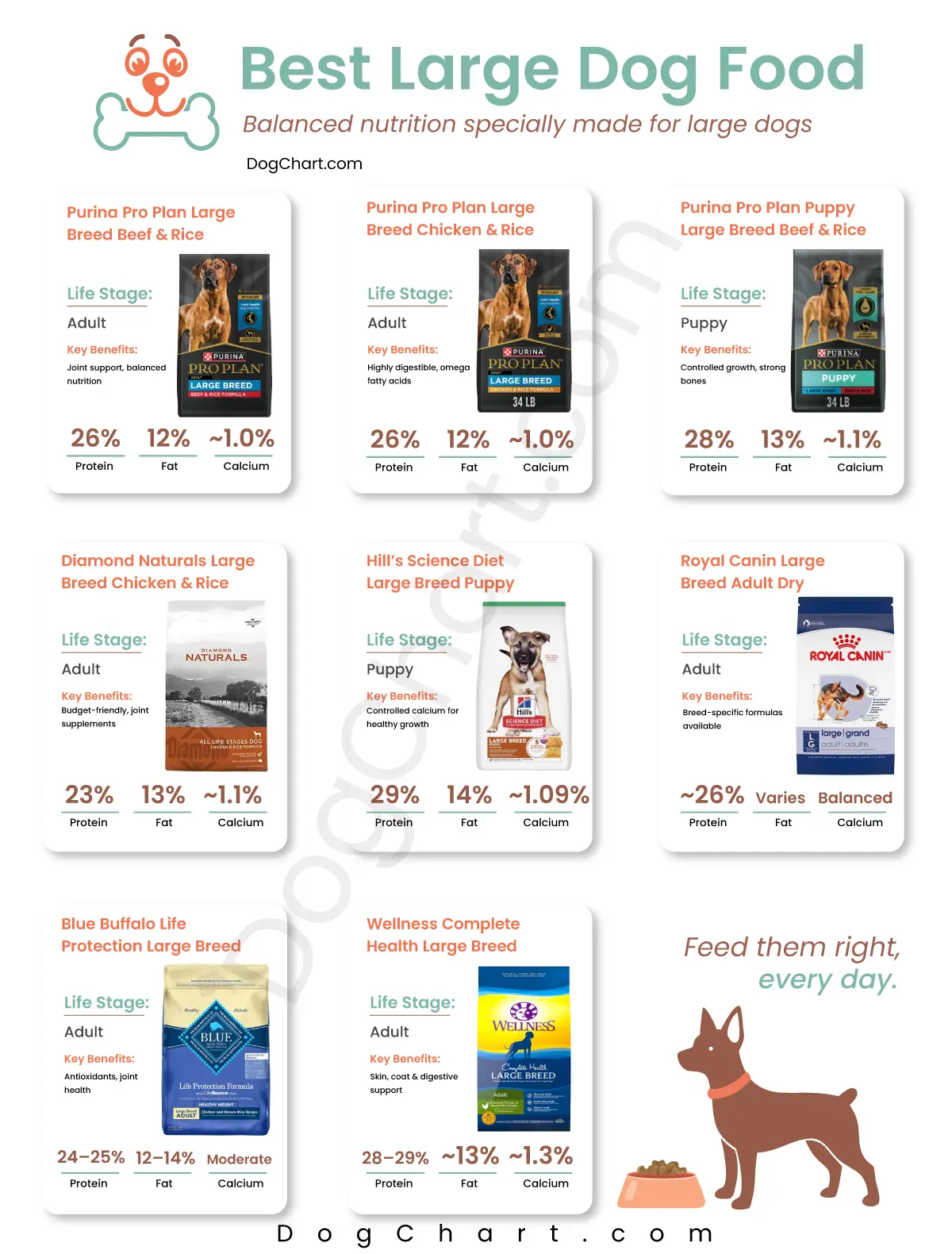 Best Large Dog Foods list