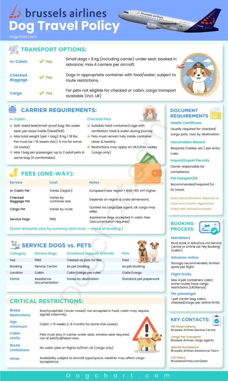 Brussels Airlines Dog Policy: What It’s Like Flying With Your Dog Brussels Airlines Dog Travel Policy