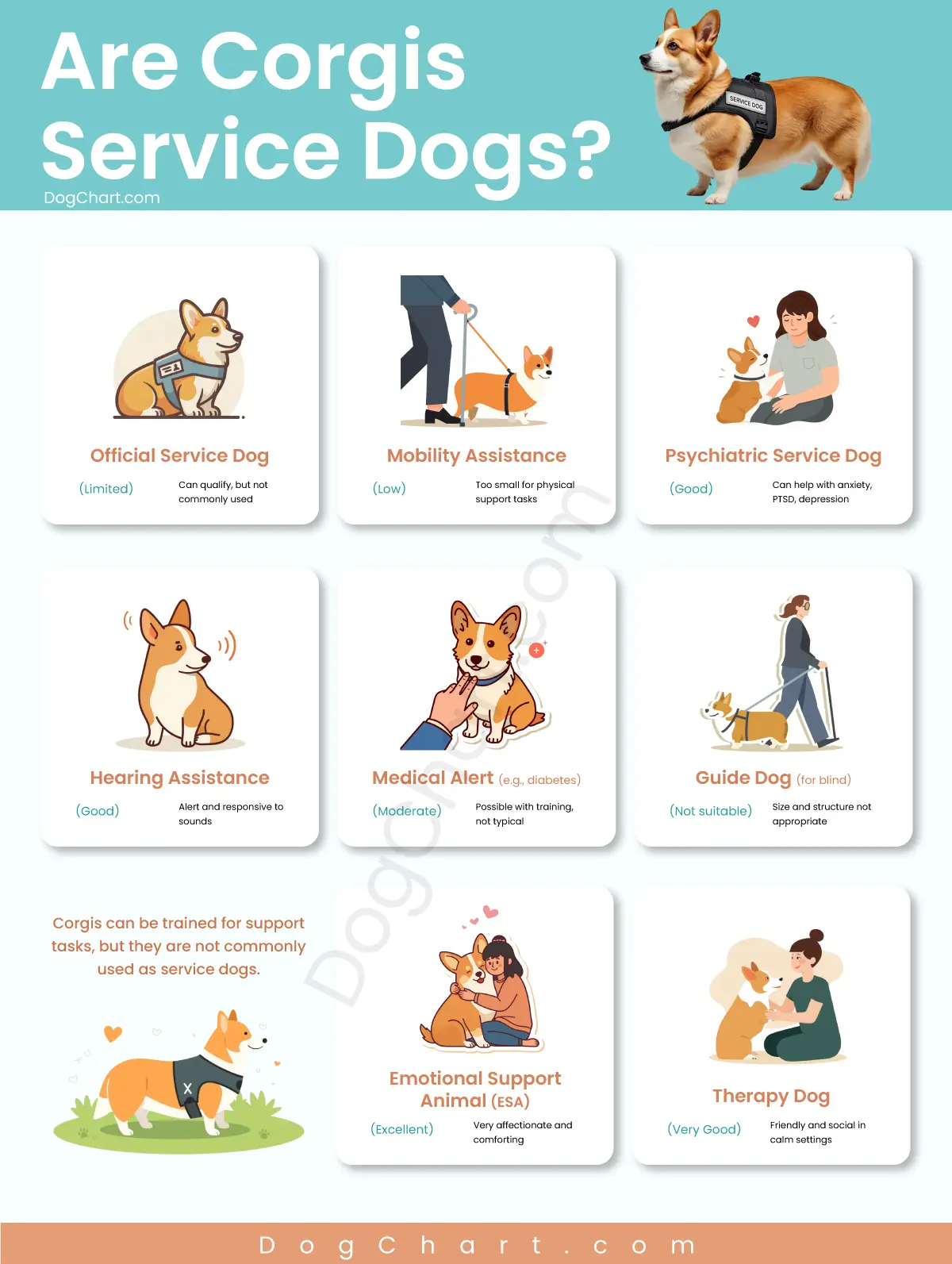 Can a Corgi Be a Service Dog? Can a Corgi Be a Service Dog