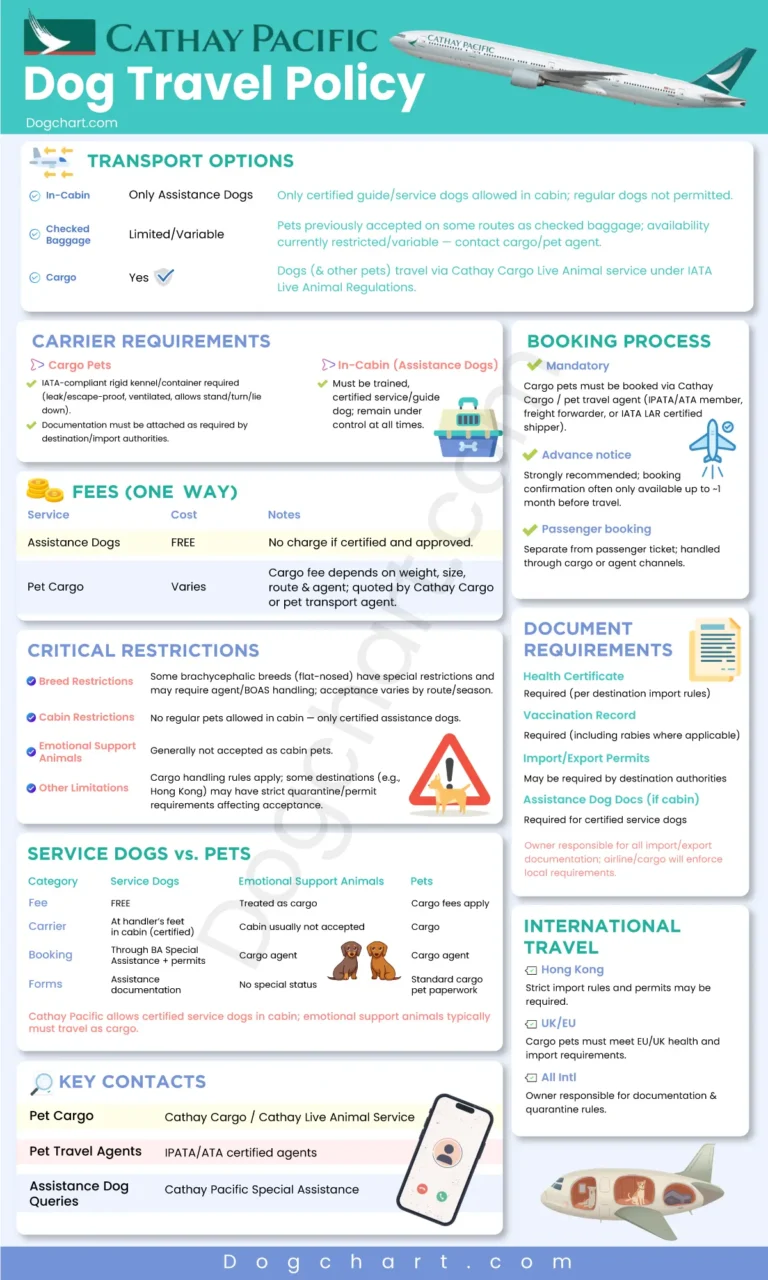 Cathay Pacific Dog Policy - Long Haul Travel With Your Dog Cathay Pacific Dog Travel Policy