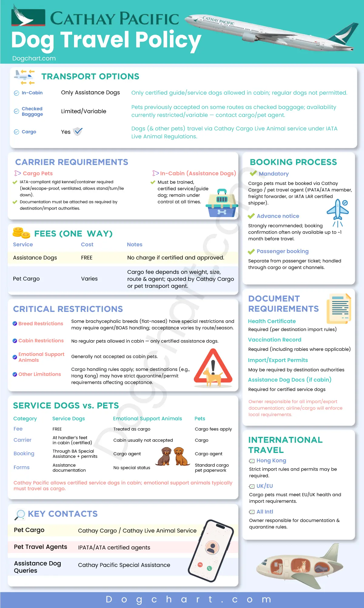Cathay Pacific Dog Travel Policy