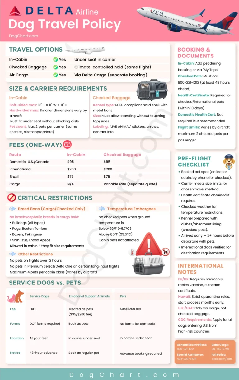 Delta Airlines Dog Policy