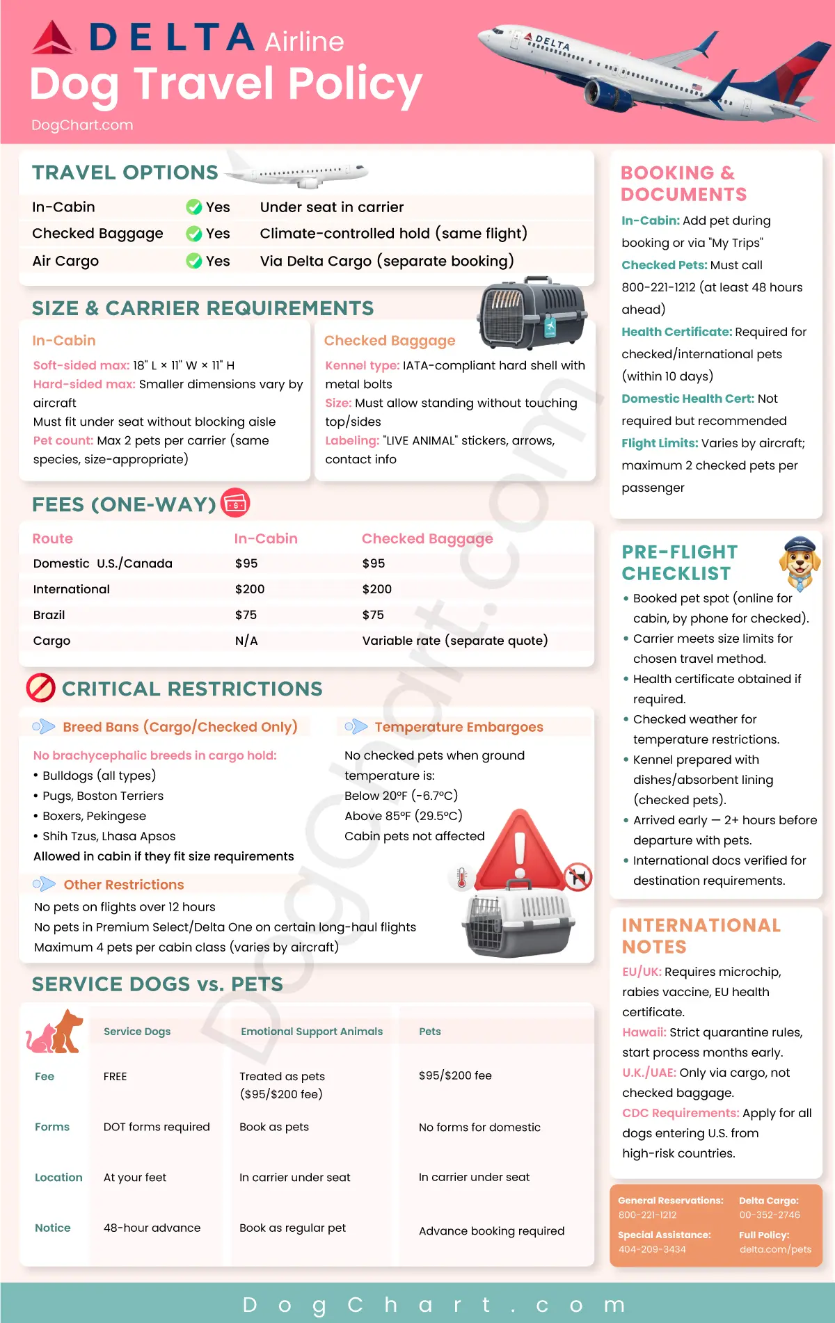 Delta Airlines Dog Travel Policy