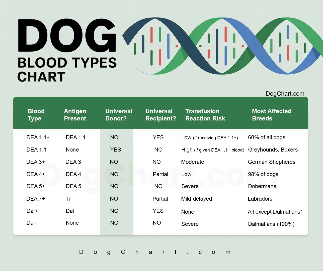 Dog Blood Types Chart list of dog/canine blood group types chart