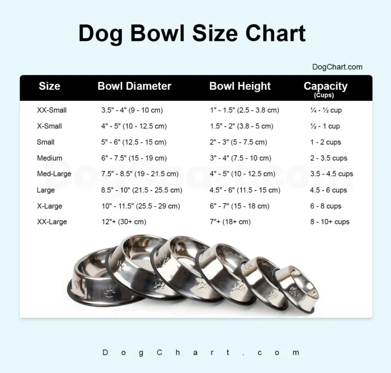 Dog Bowl Size Chart