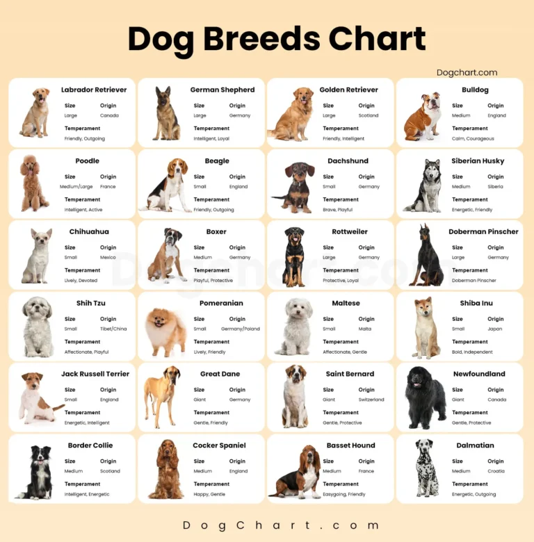 Dog Breeds chart with names and pictures