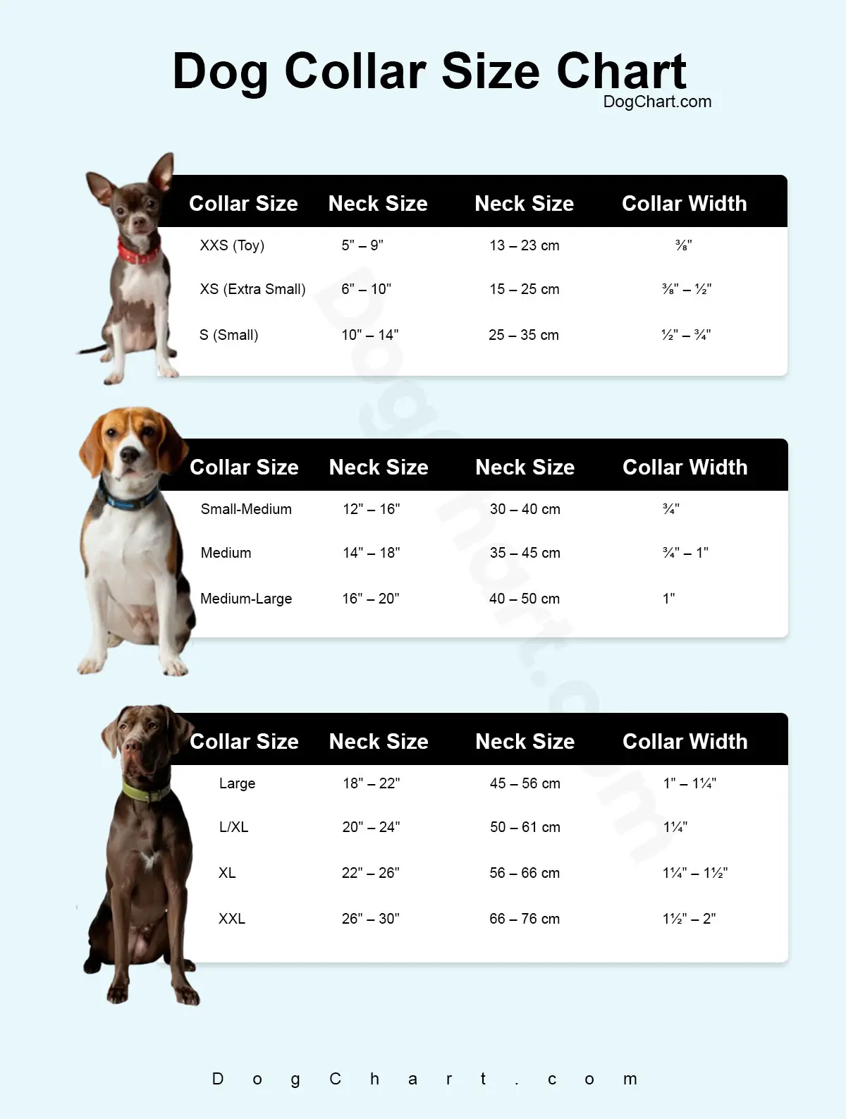 Dog Collar Size Guide Chart And How To Measure Dog Collar Size Chart