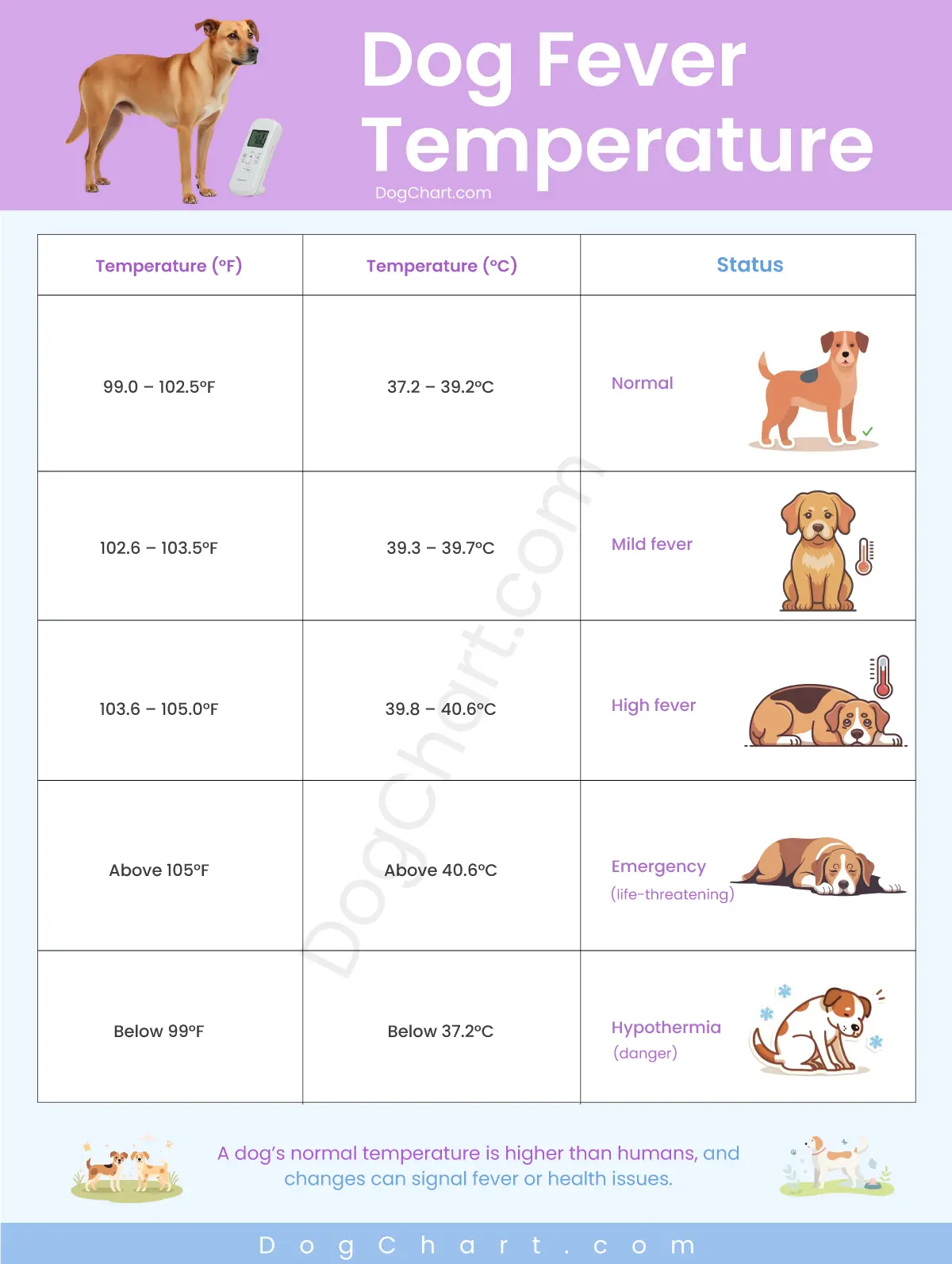 Dog Fever Temperature Chart