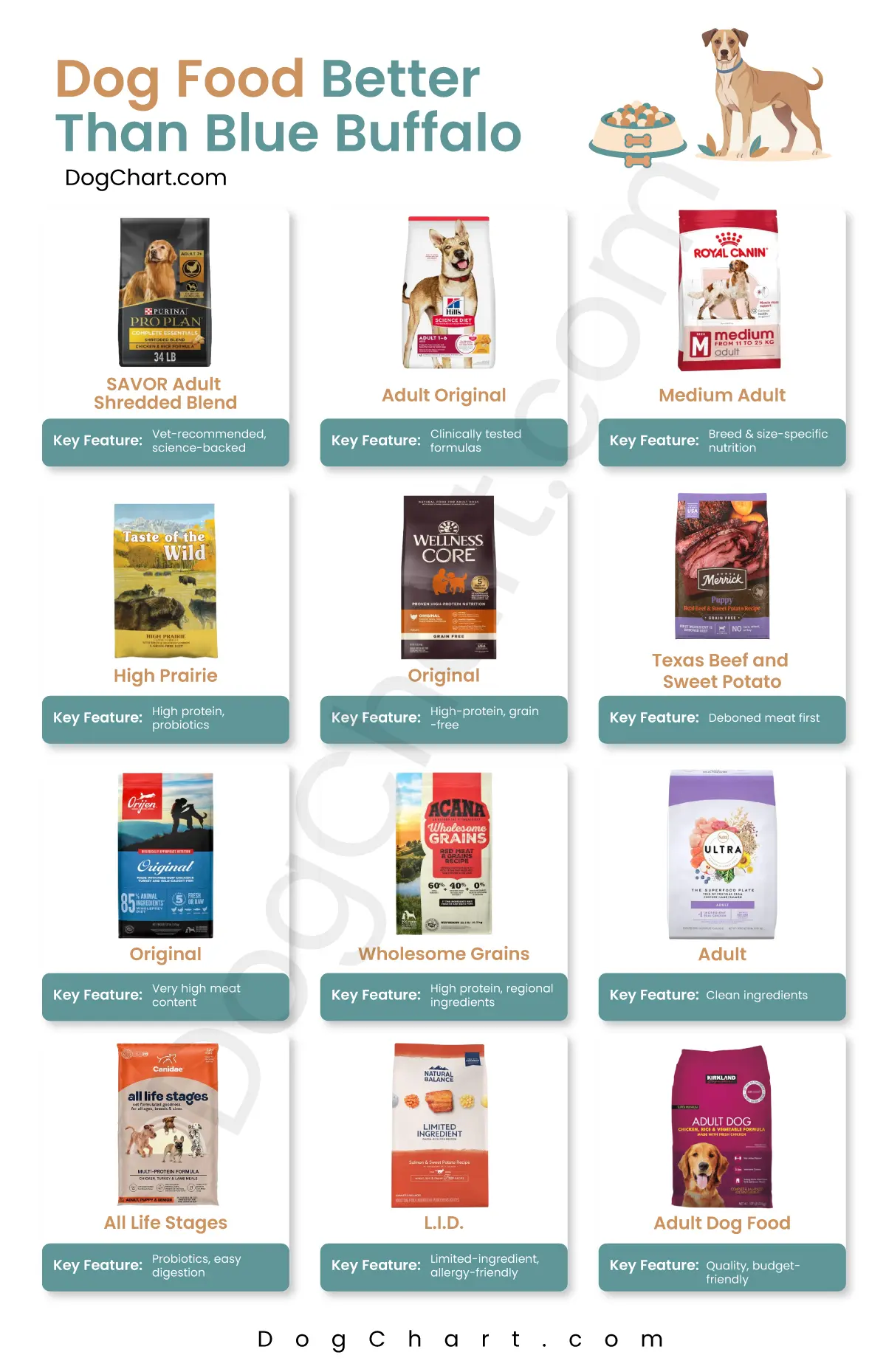 Dog Foods Better Than Blue Buffalo