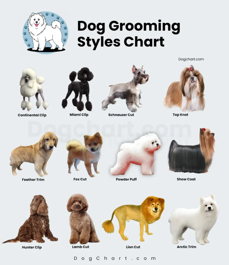 Dog Grooming Styles Chart