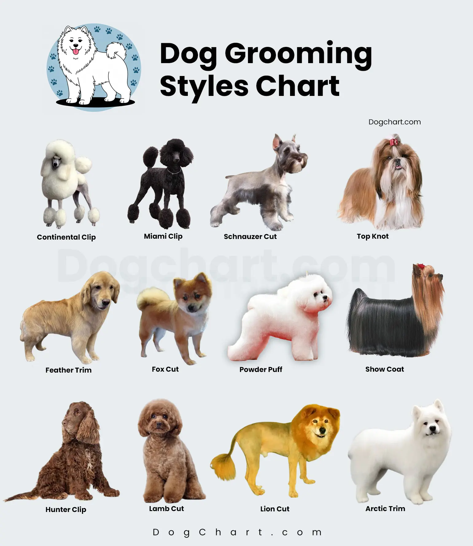 Dog Grooming Styles Chart - A Fun Guide to Fresh Looks for Your Pup Dog Grooming Styles Chart