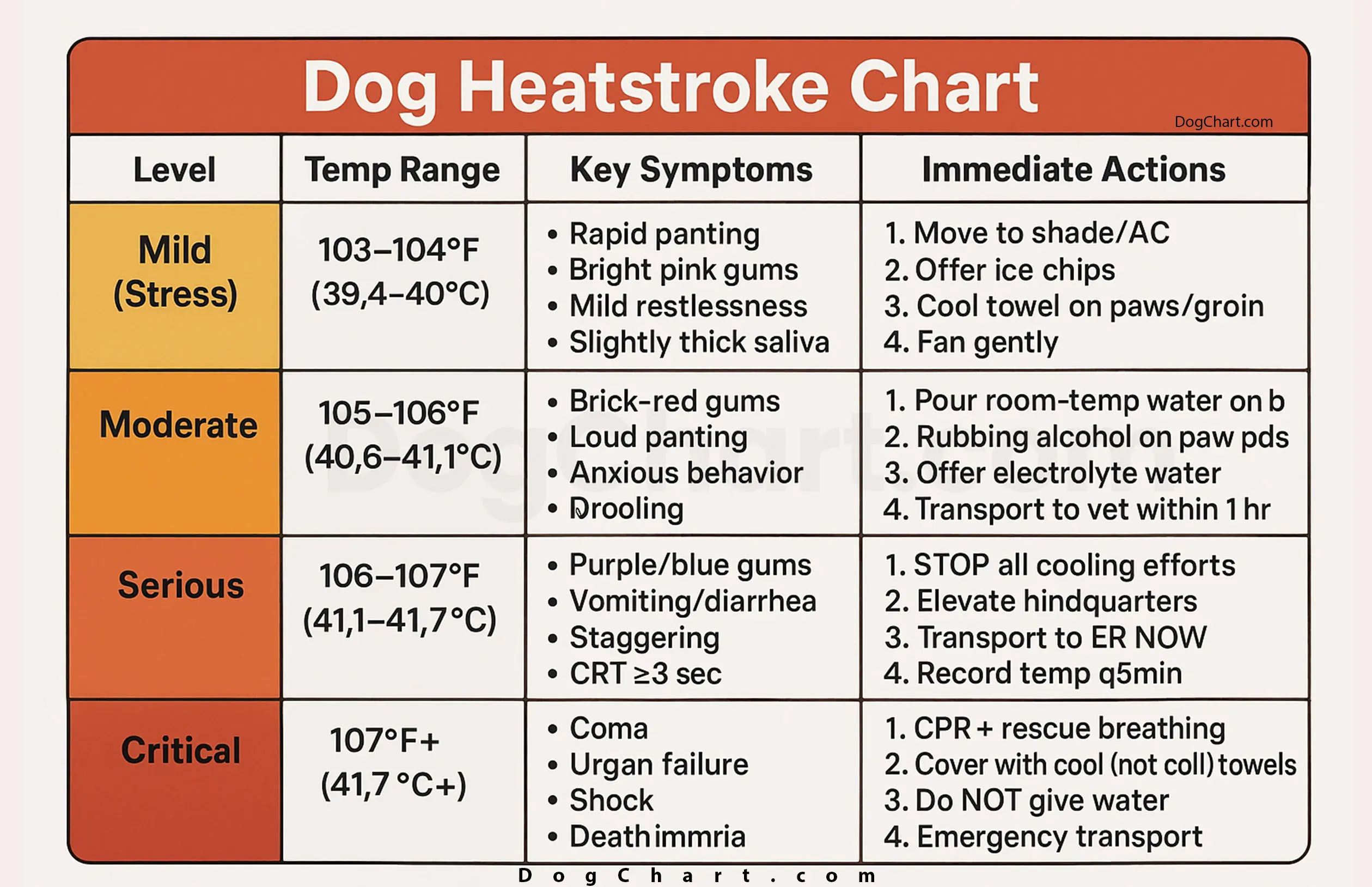 Dog Heatstroke Chart | What It Looks Like and How to Act Fast Dog Heatstroke Chart