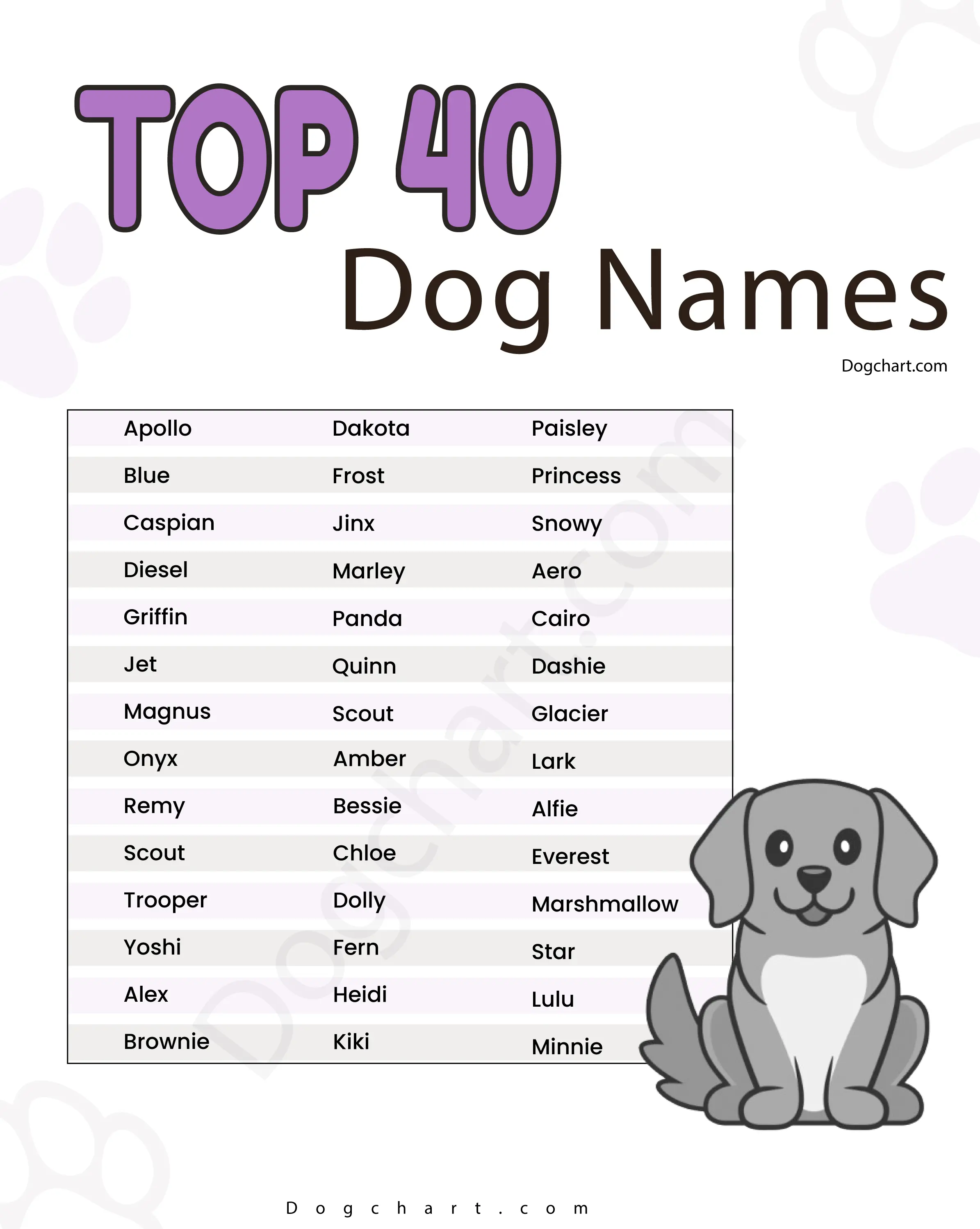 100 Unique Dog Names That Are Perfect for Any Breed Dog Names for male and females