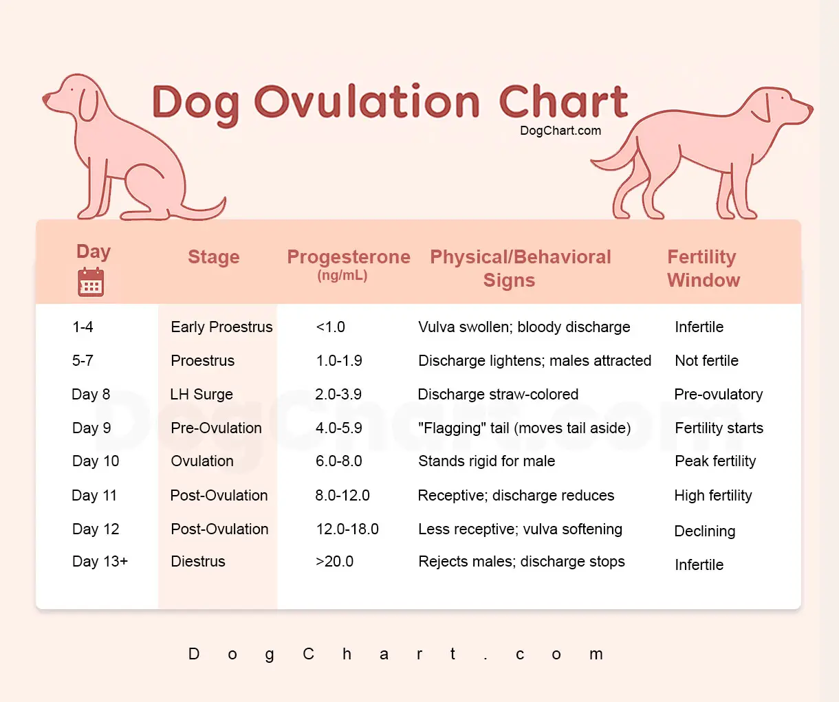 Dog Ovulation Chart - Ovulation Timing in Female Dogs Dog Ovulation Chart
