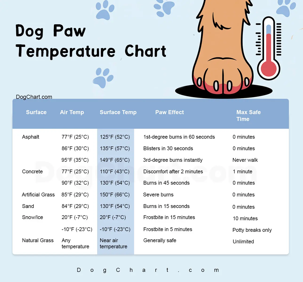 Dog Paw Temperature Chart | What You Should Know About Ground Temperatures Dog Paw Temperature Chart