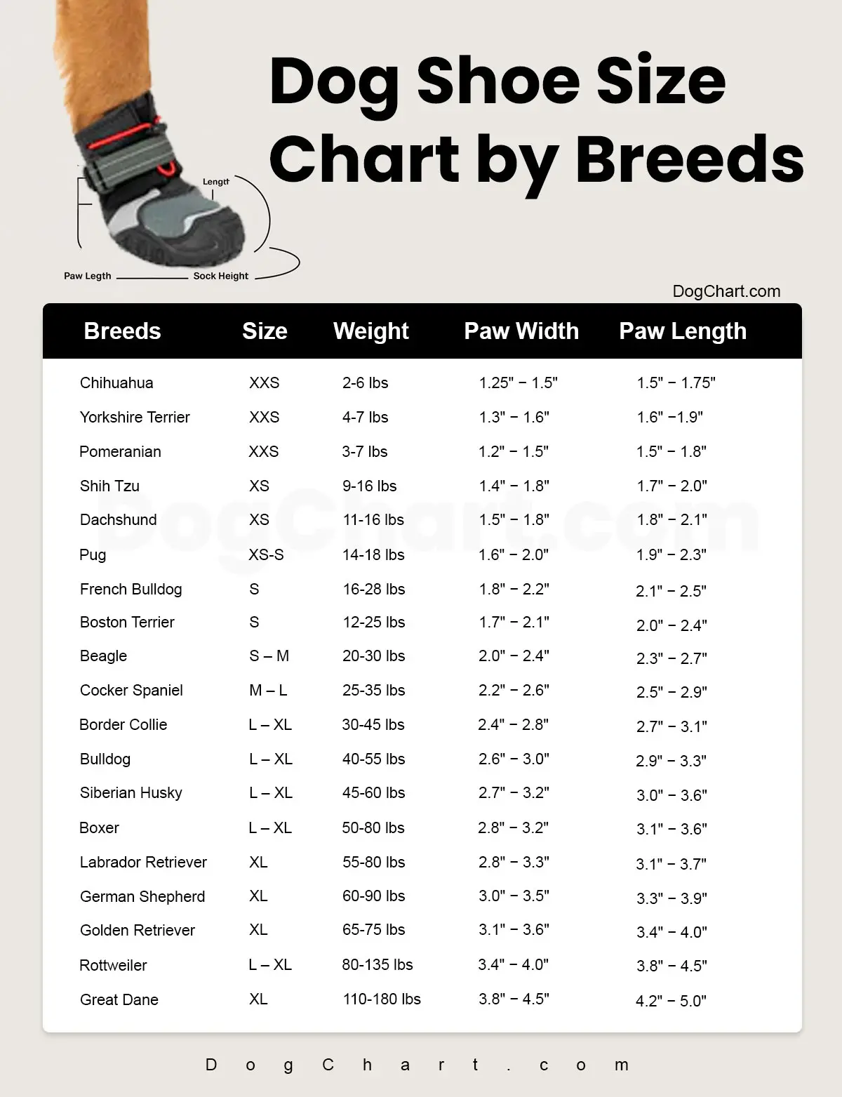 Dog Shoe Size Chart Dog Shoe Size Chart by breeds