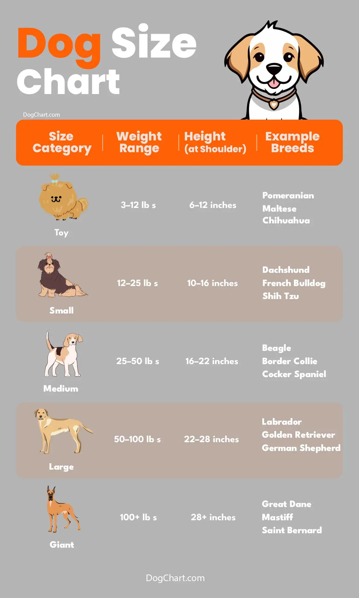 Dog Size Chart by Breed Weight and Height