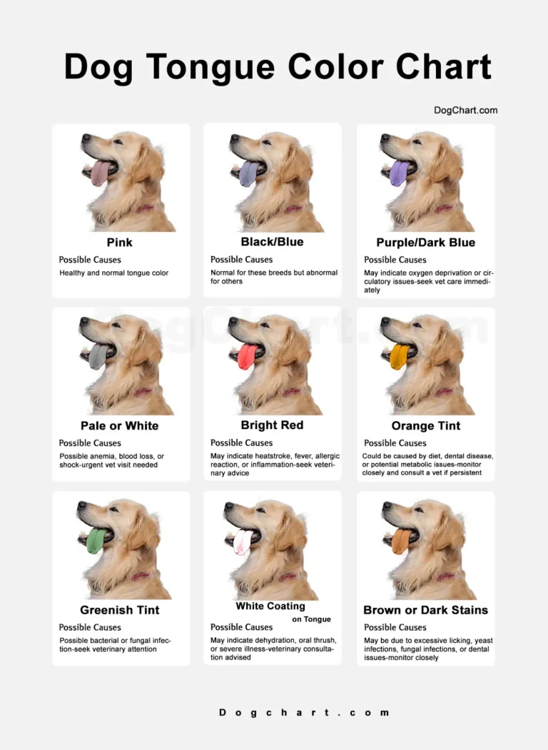 Dog Tongue Color Chart with meanings and possible cause