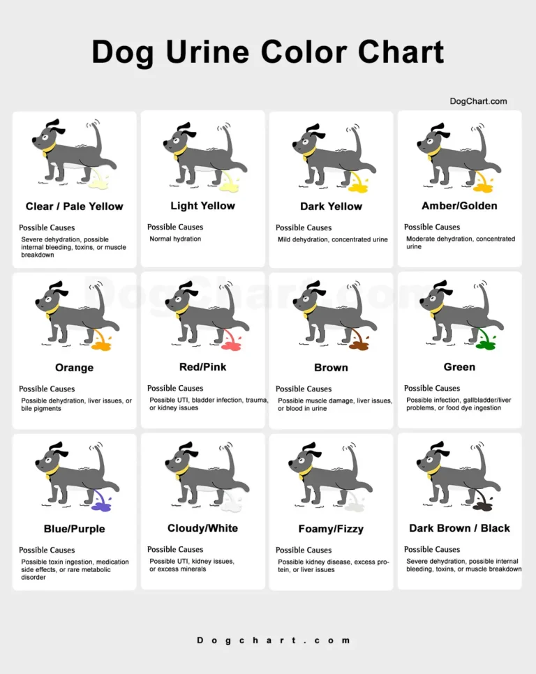 Dog pee color chart