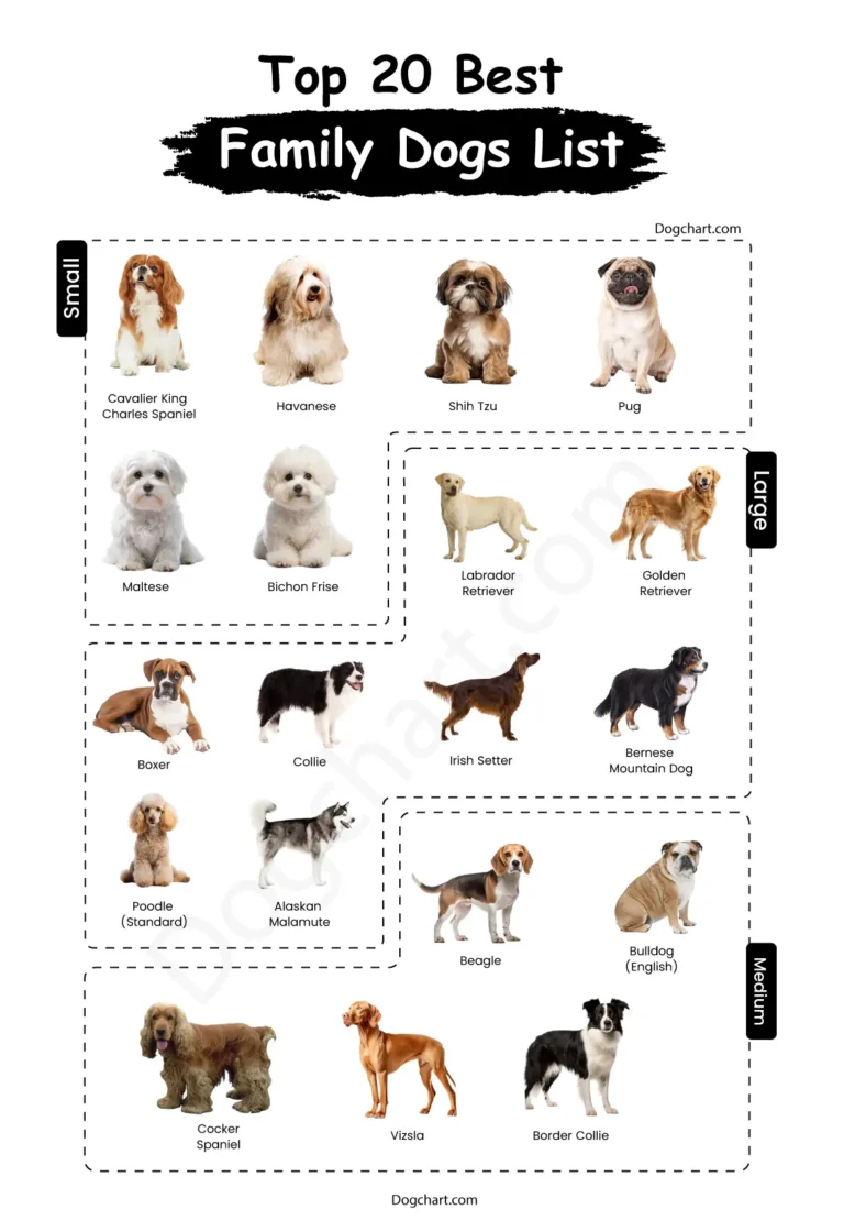 Family Dogs List