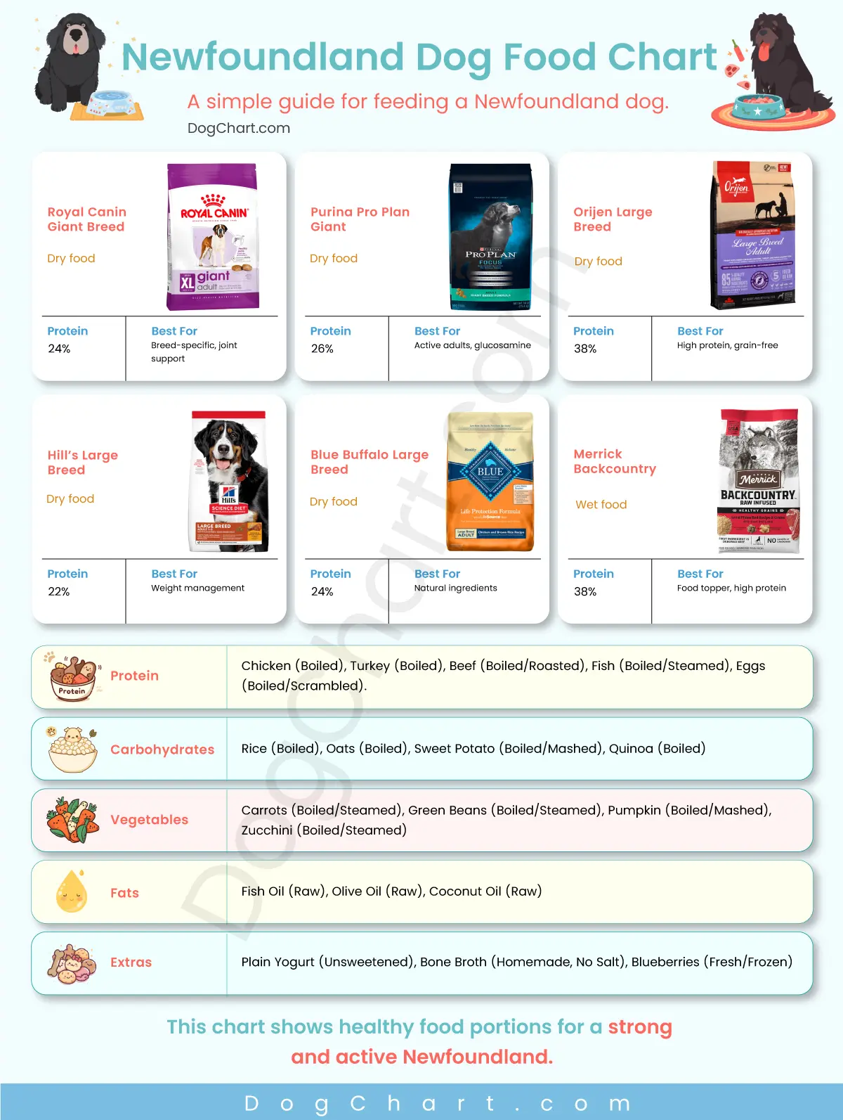 Newfoundland Dog Food Chart
