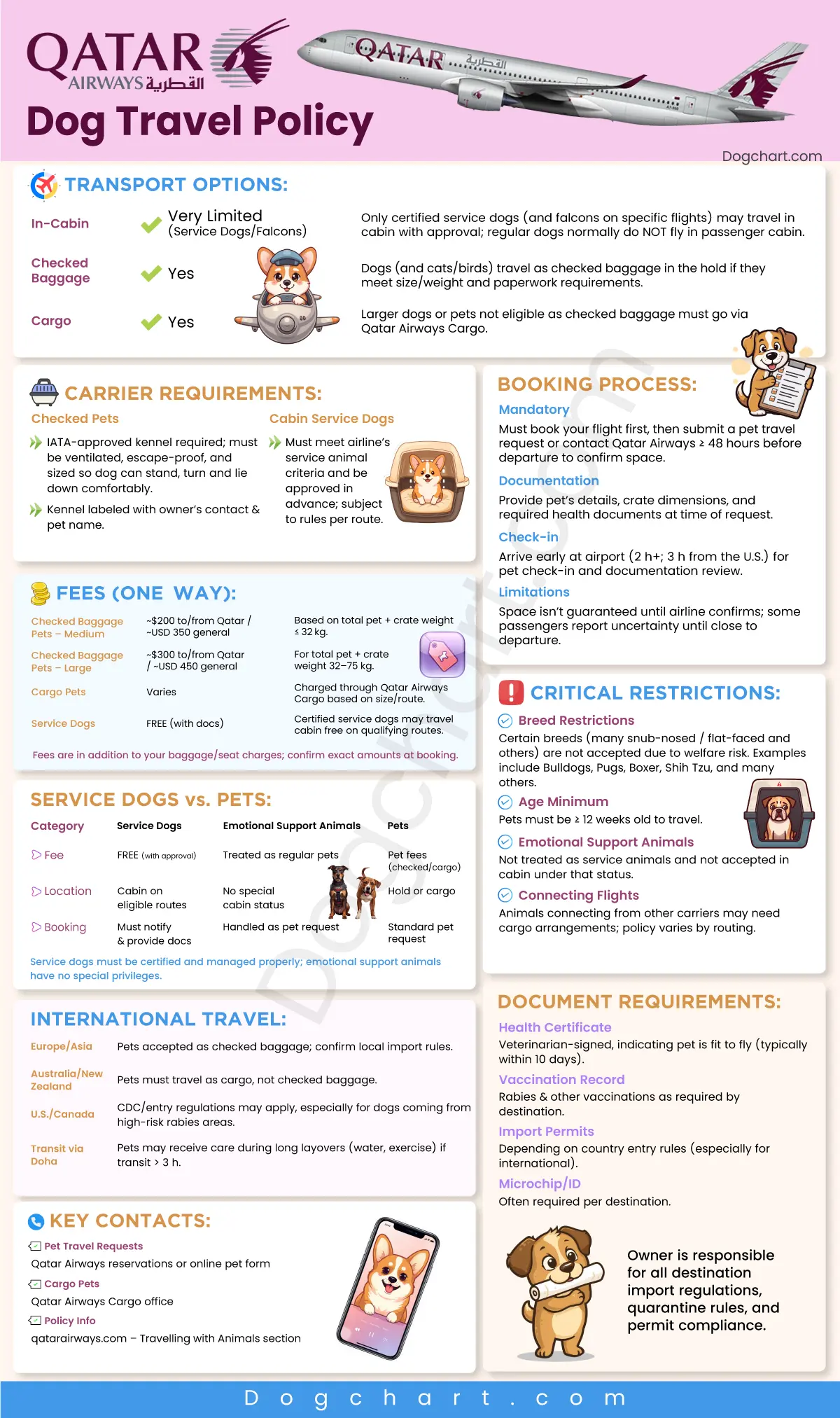 Qatar Airways Dog Policy - Flying With a Dog Qatar Airways Dog Policy