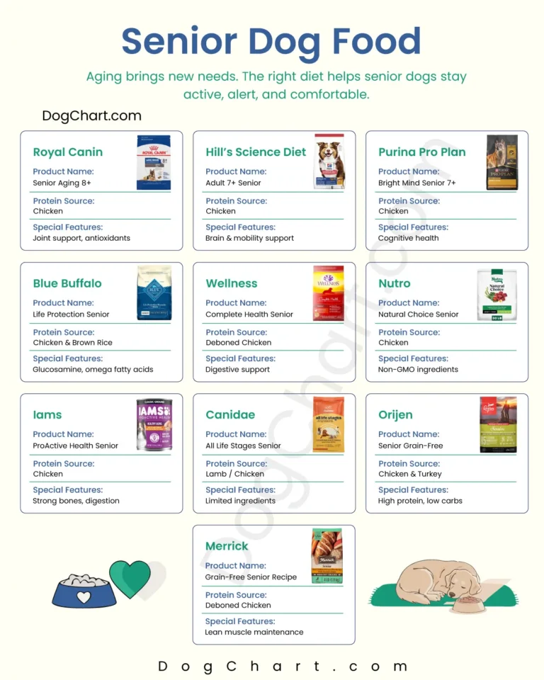 Senior Dog Foods List