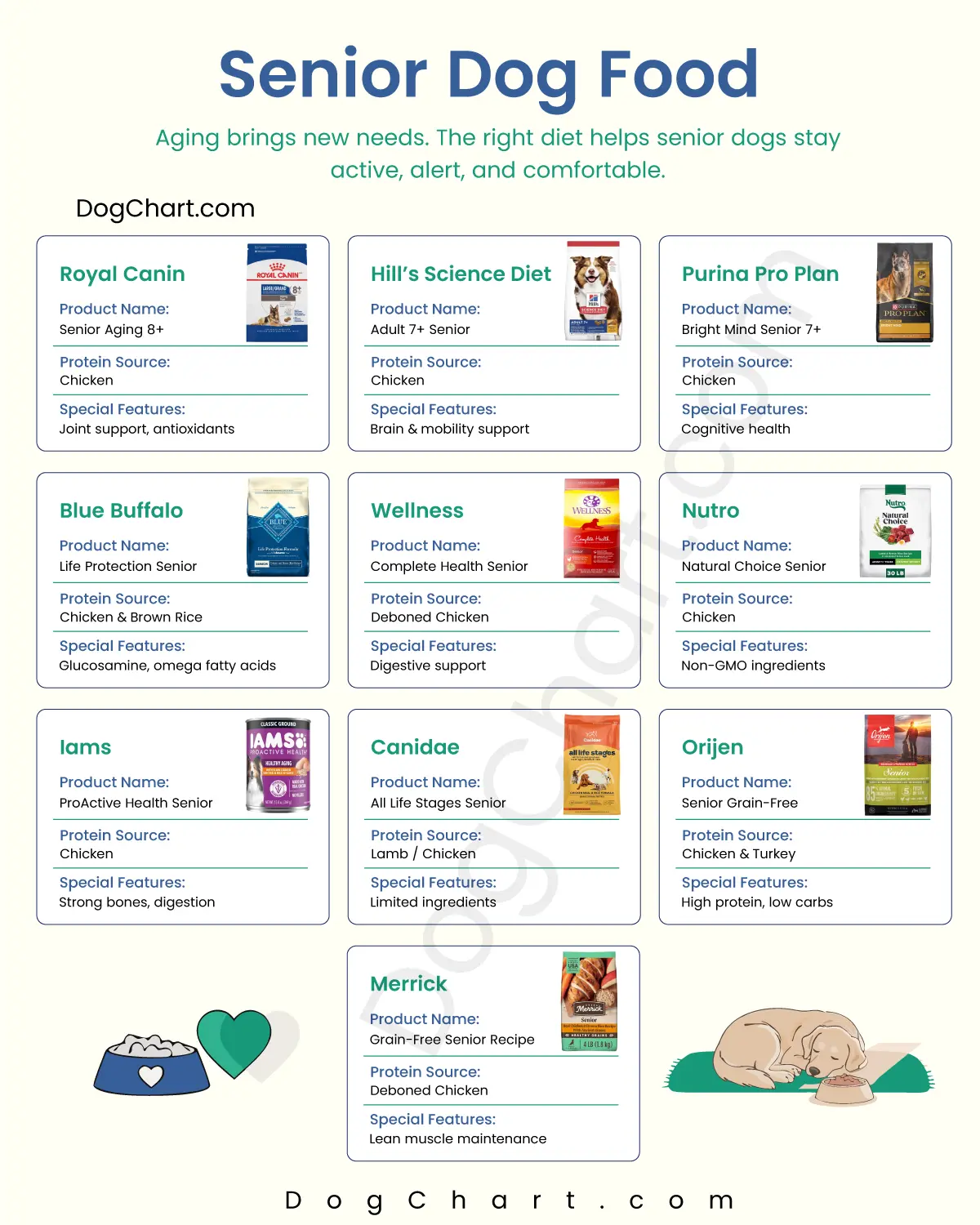 Senior Dog Foods List
