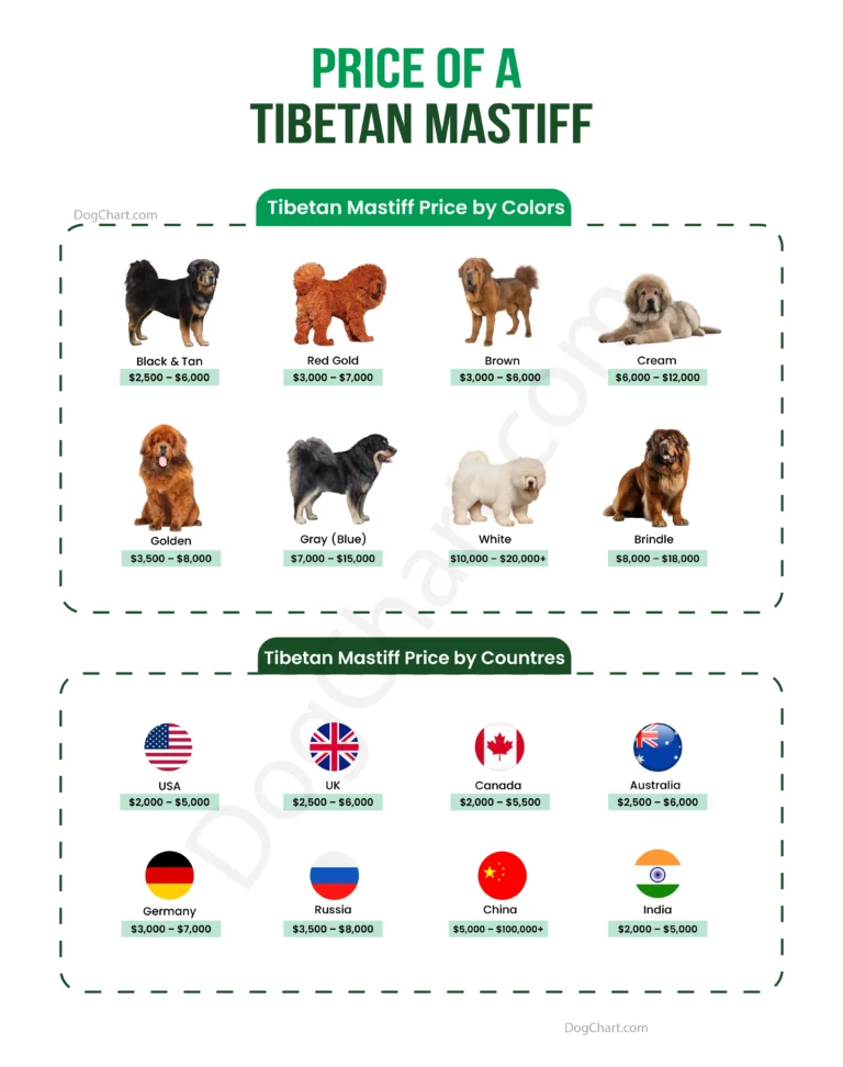 Tibetan Mastiff Price