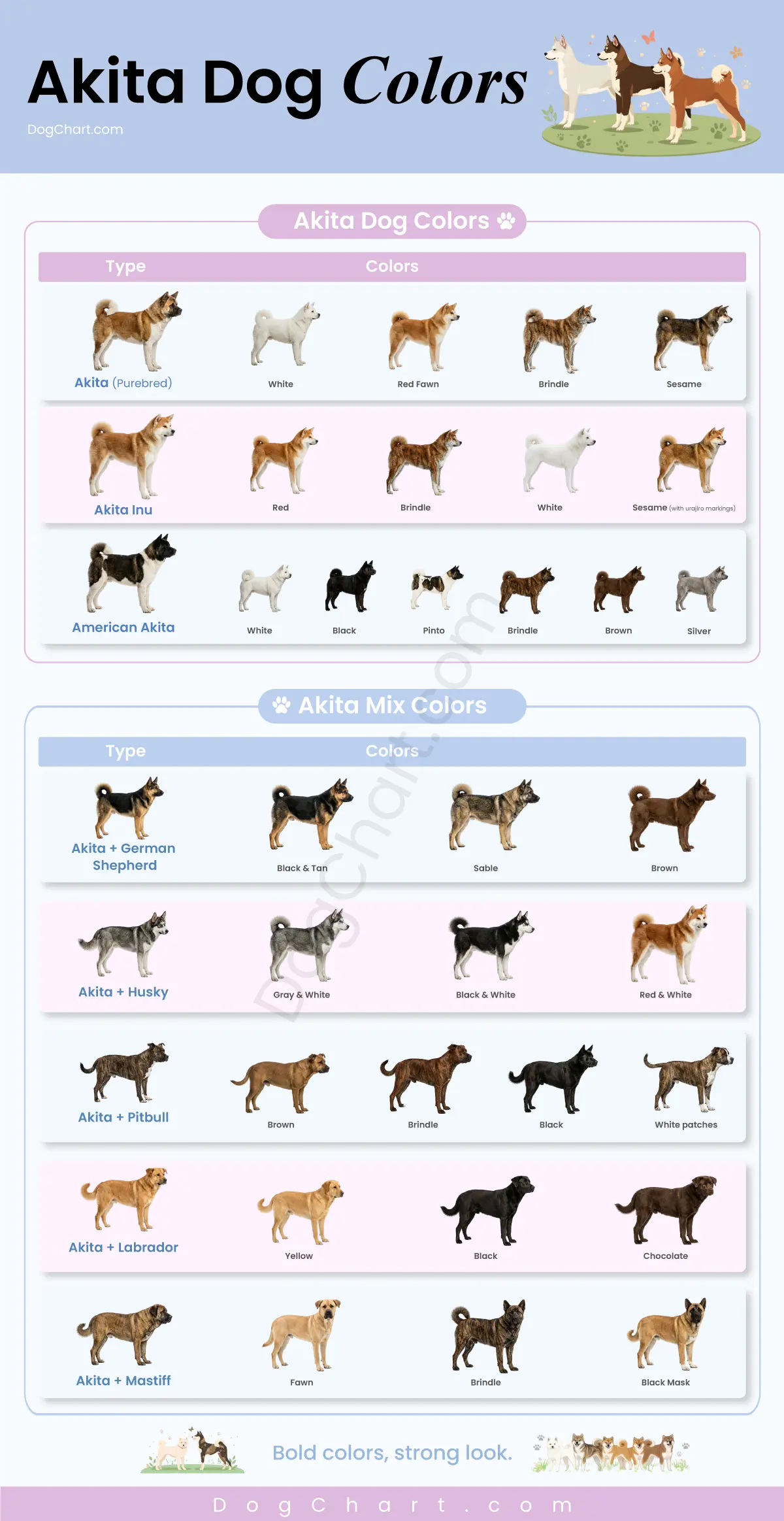 akita dog breed colors list