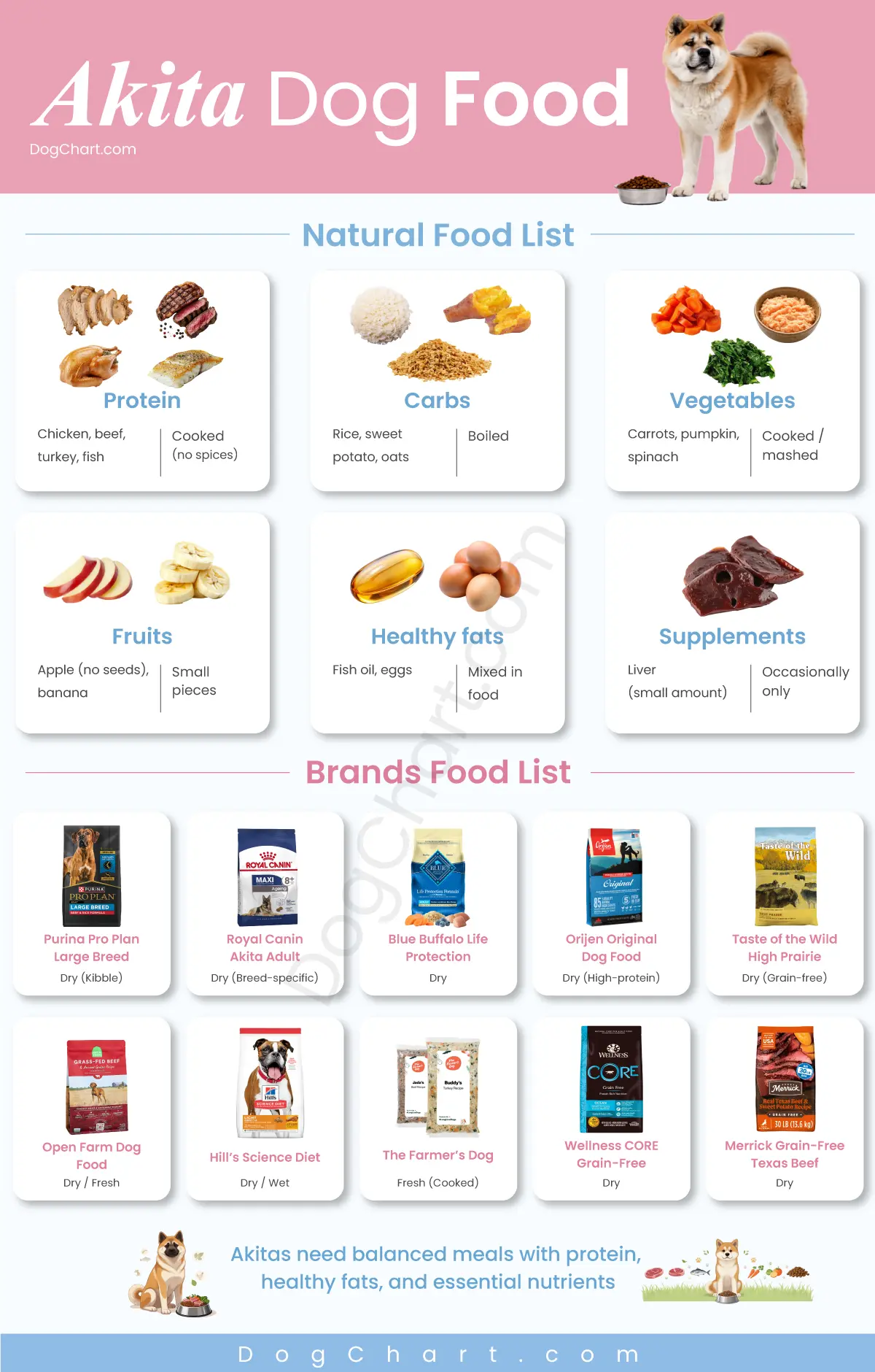 akita dog foods list